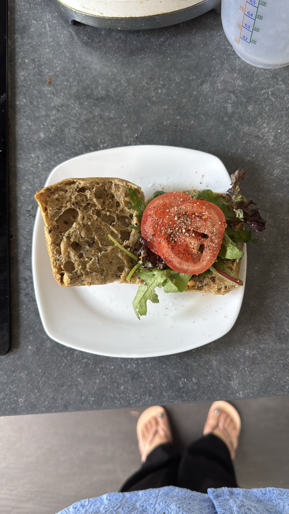 volkoren groente sandwich