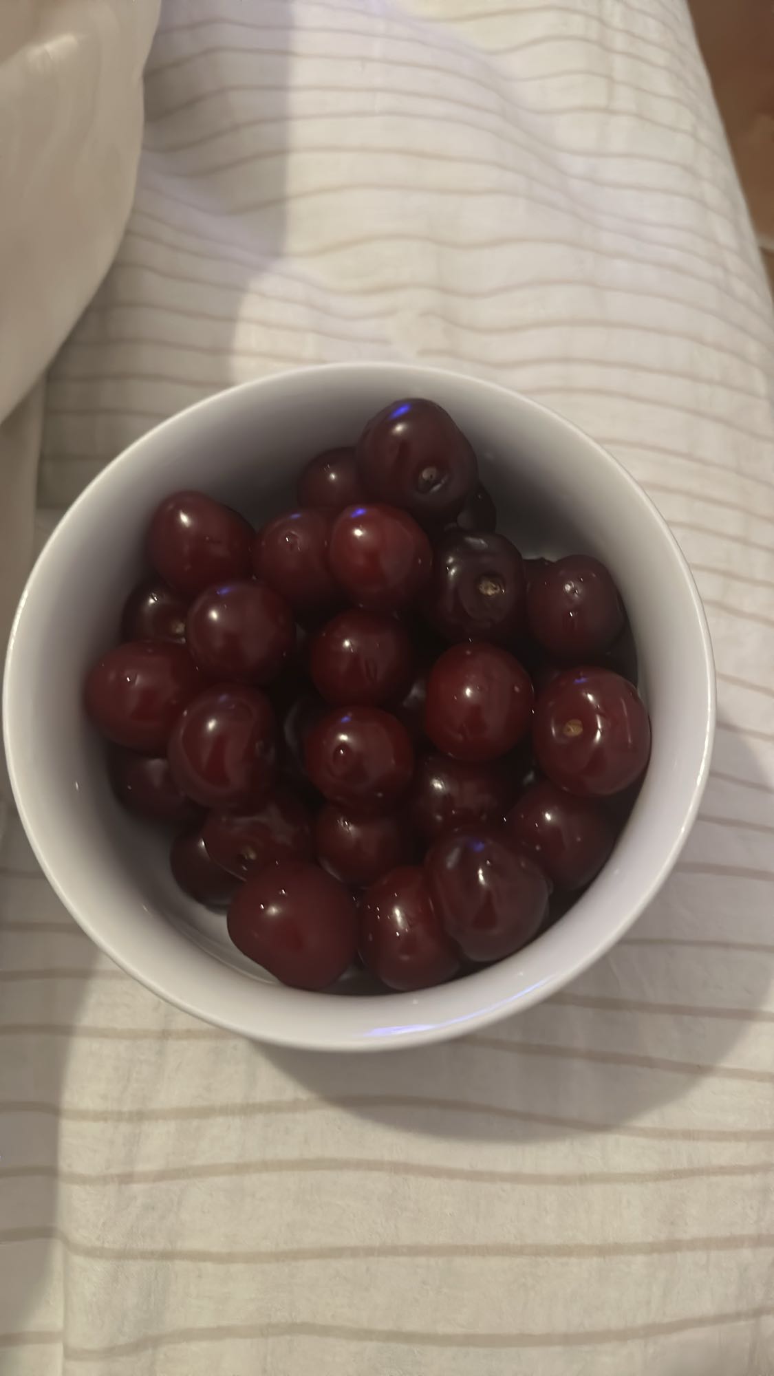Bowl of Cherries