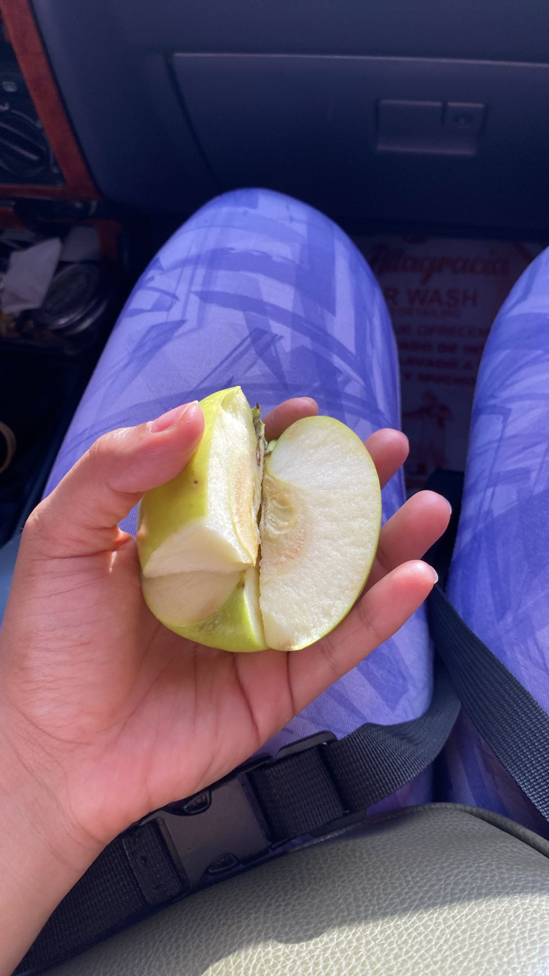 Manzana verde fresca