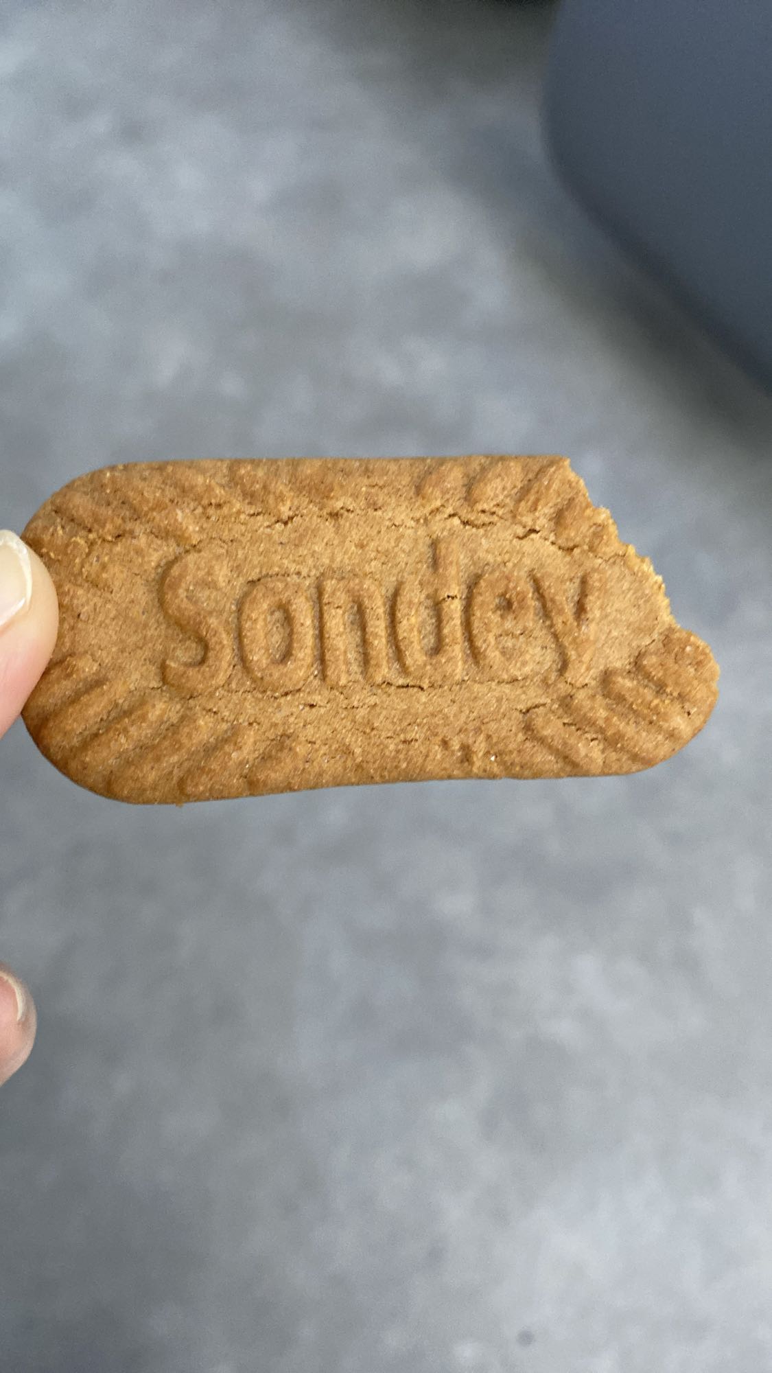 Biscuit speculoos