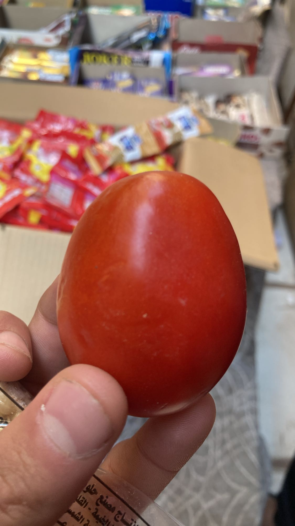 طماطم طازجة