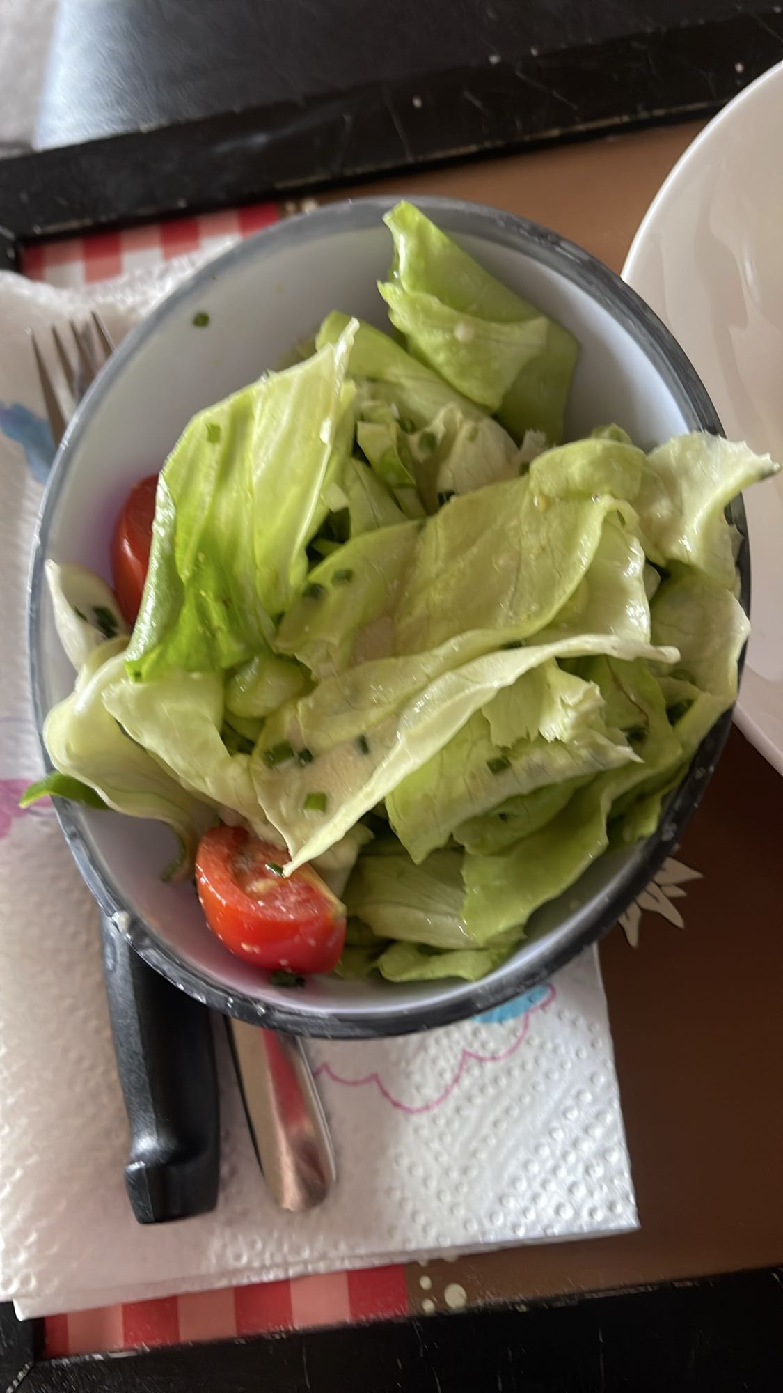 Ensalada verde fresca