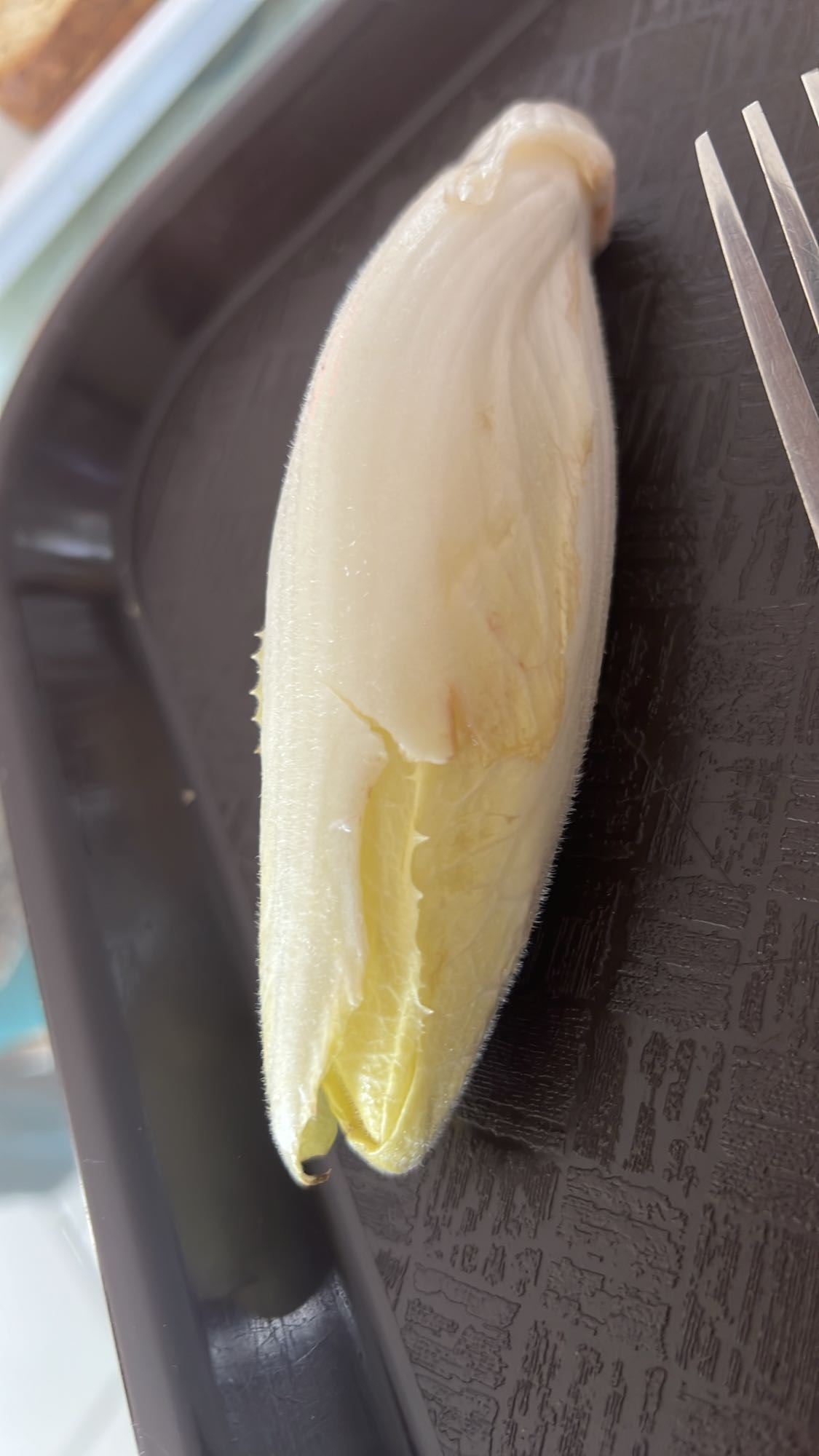 Endive vapeur