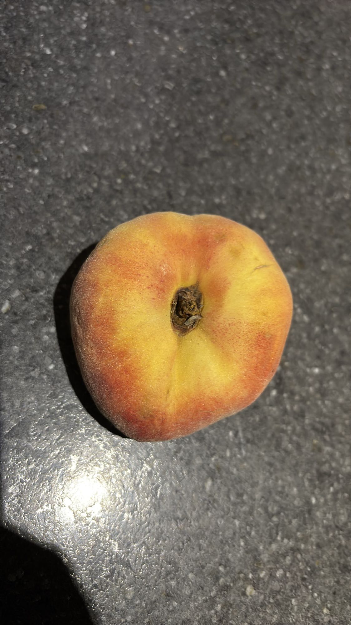 pêche plate entière