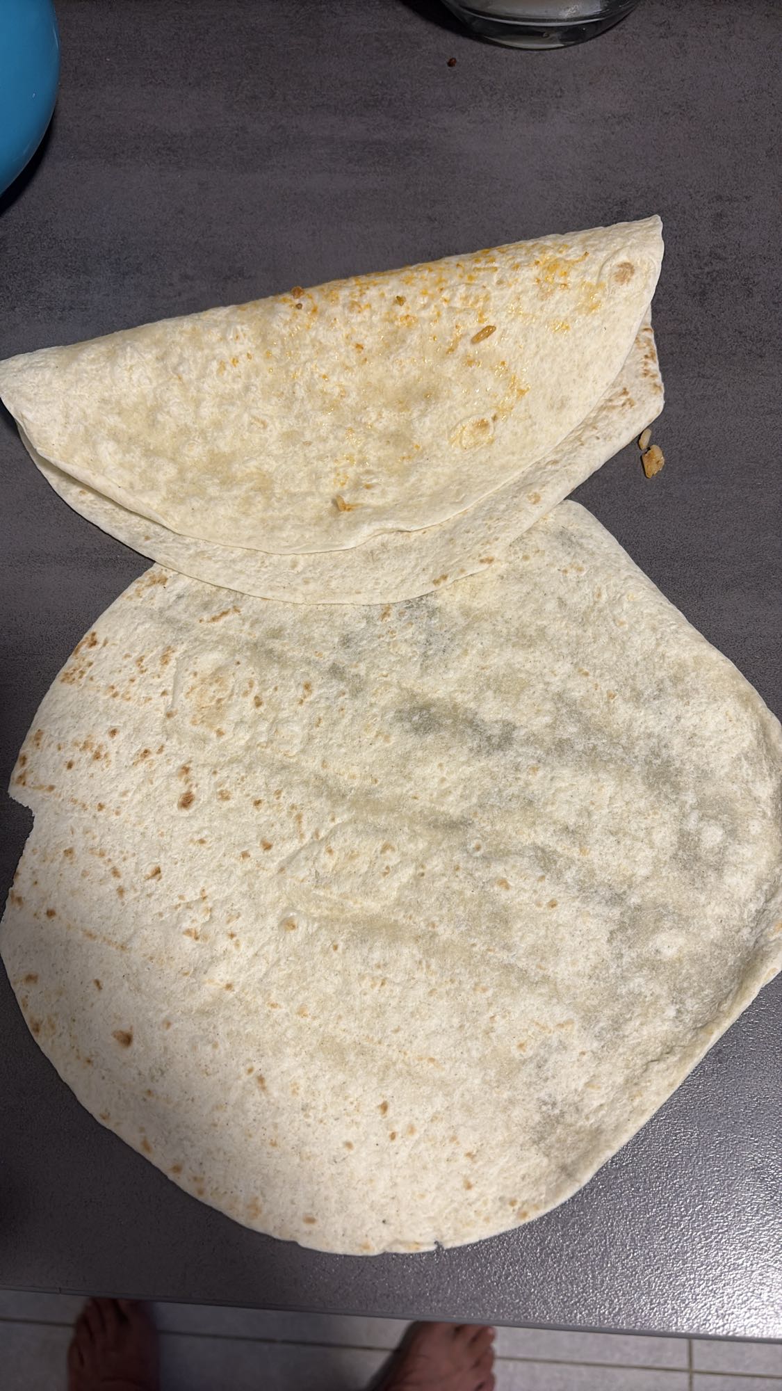 bloem tortilla wraps