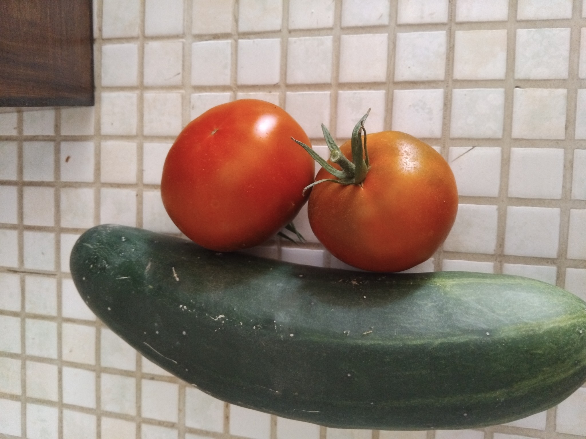 Tomato Cucumber Combo