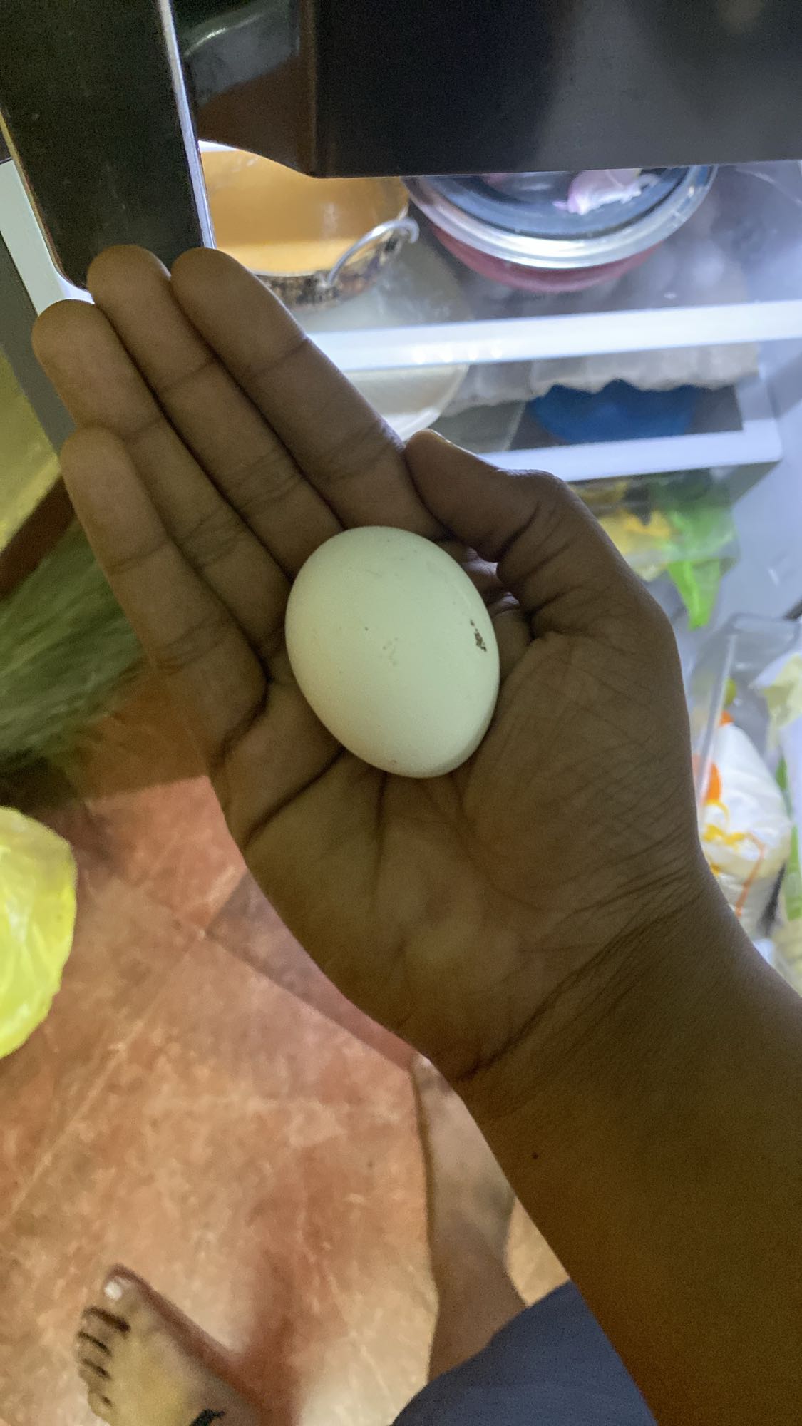 Whole Egg