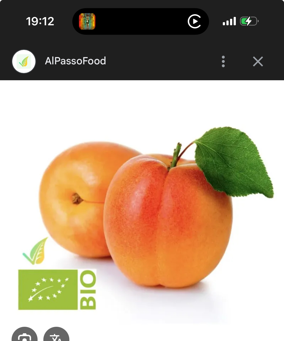 Albicocche Bio