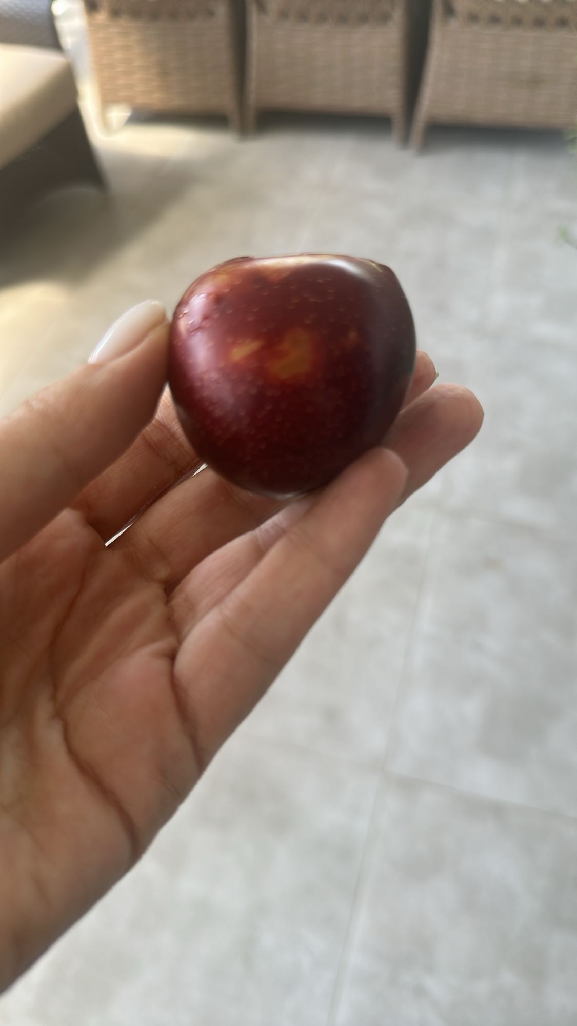 Small plum snack