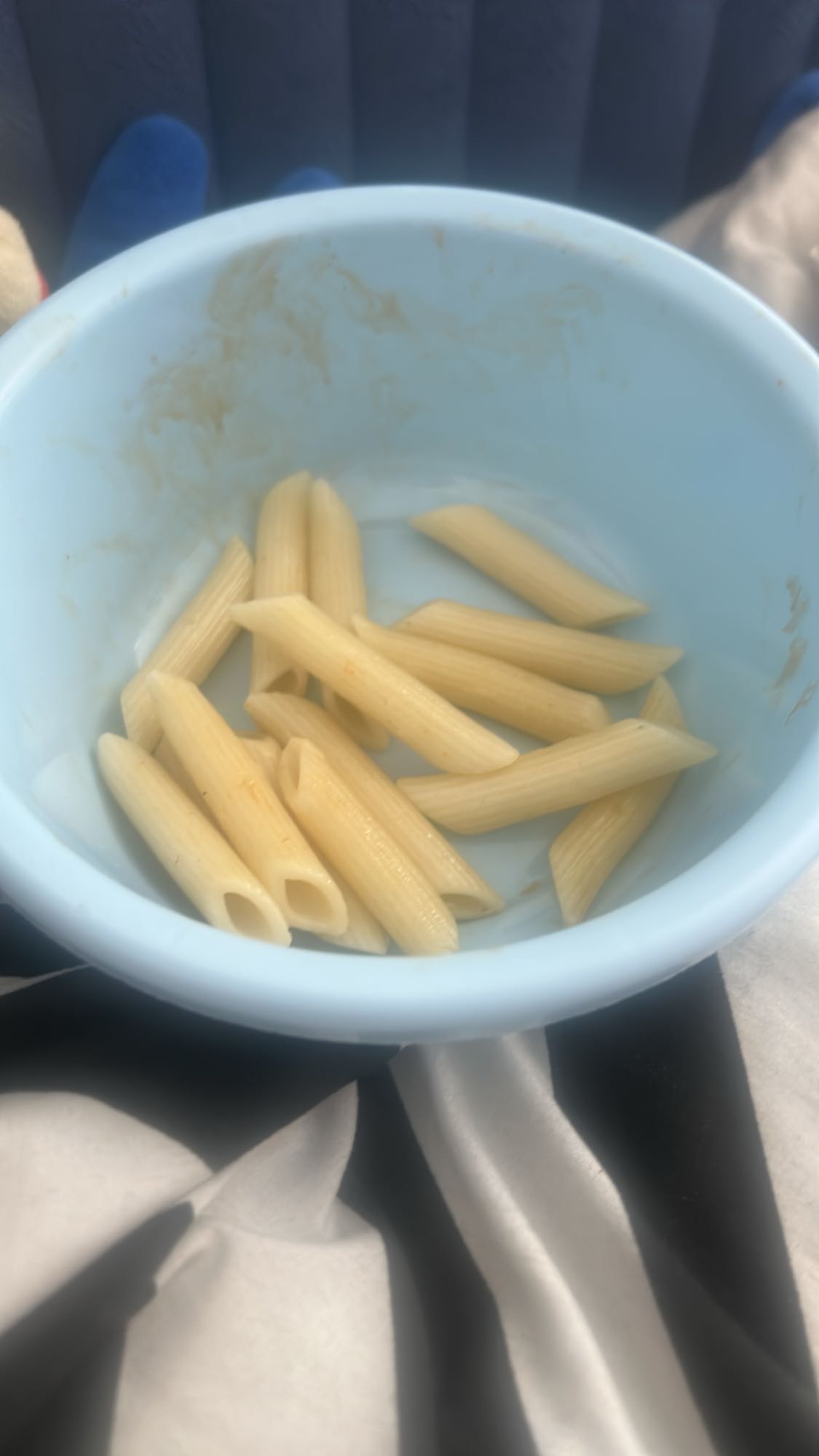 Plain Penne Pasta