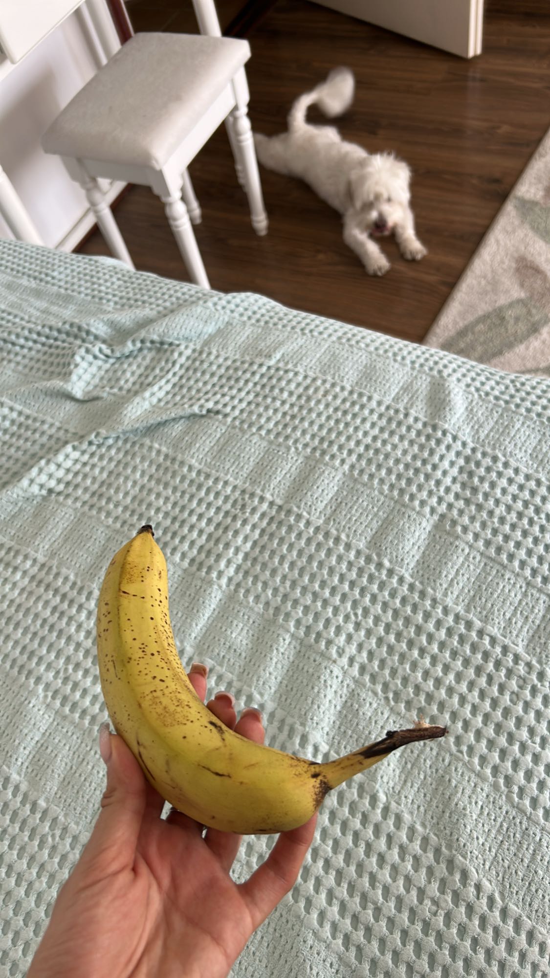 Banana simplă