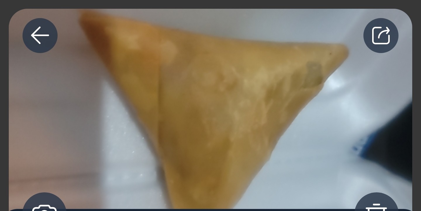 Vegetable Samosa