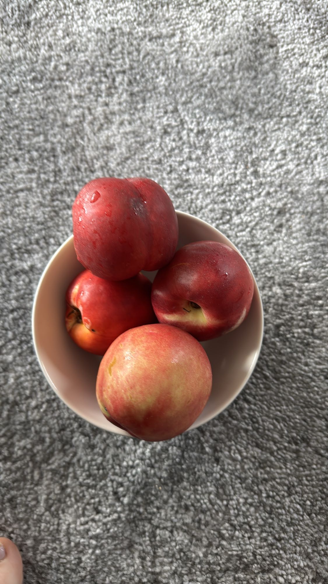 Bowl of nectarines