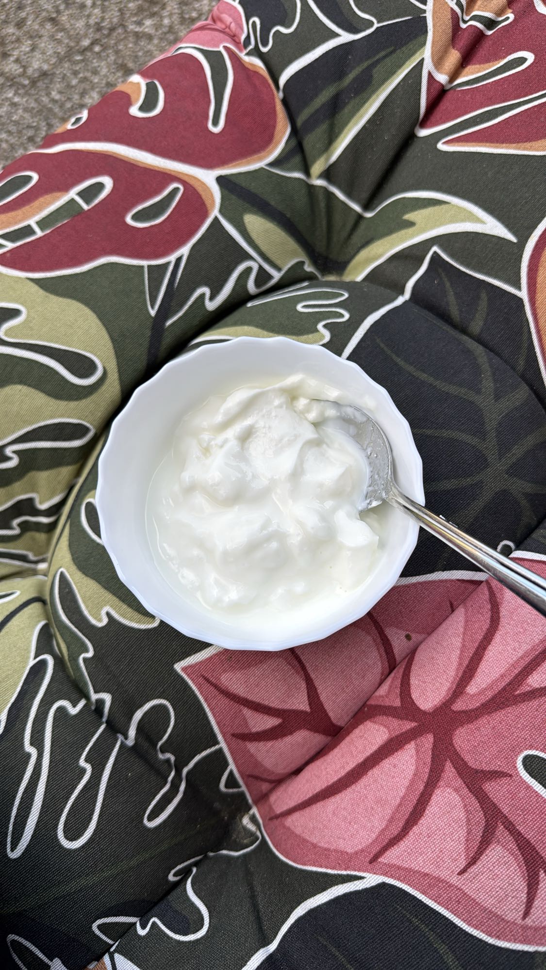 Natuur yoghurt kom
