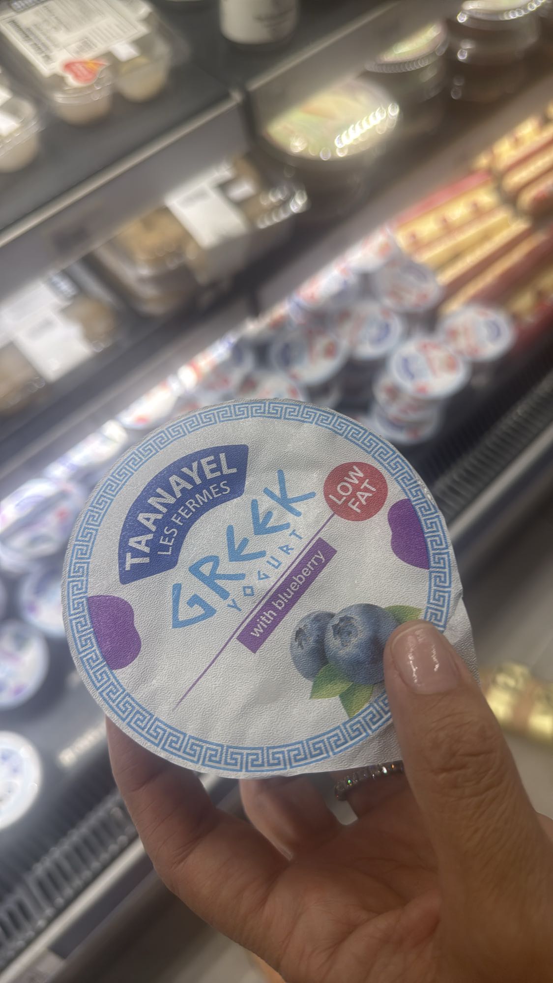 Greek Yogurt Blueberry