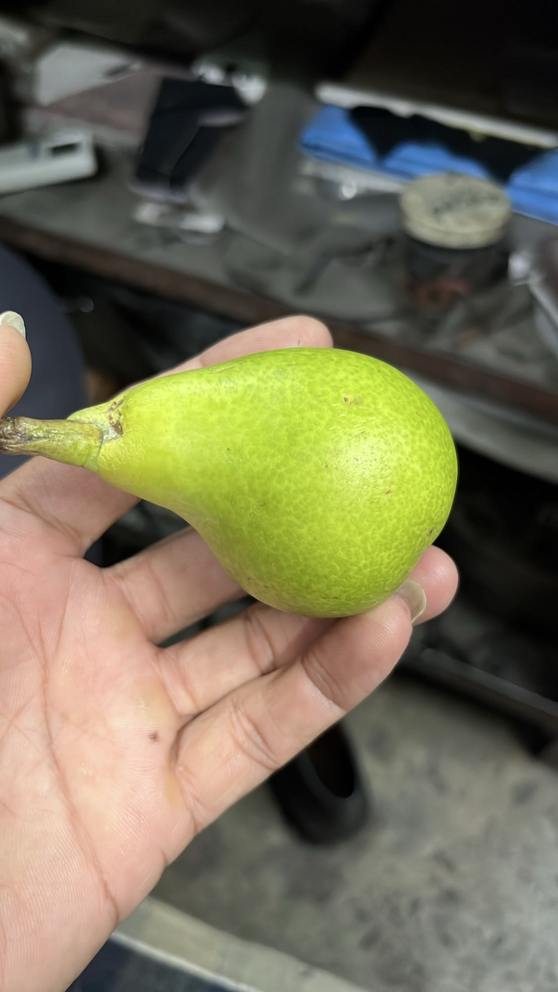 Fresh Pear