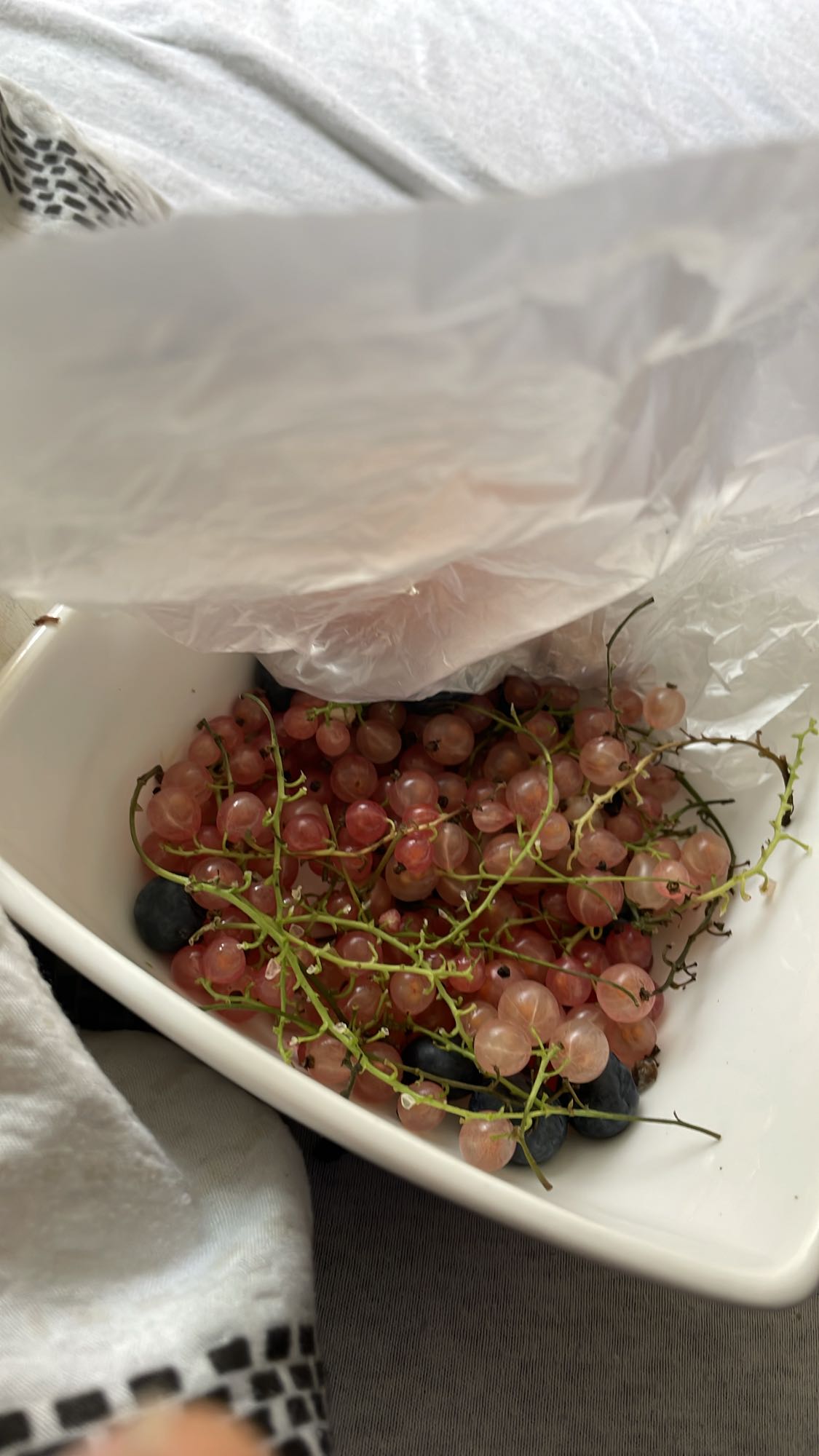 Porcja owoców jagodowych z morelą