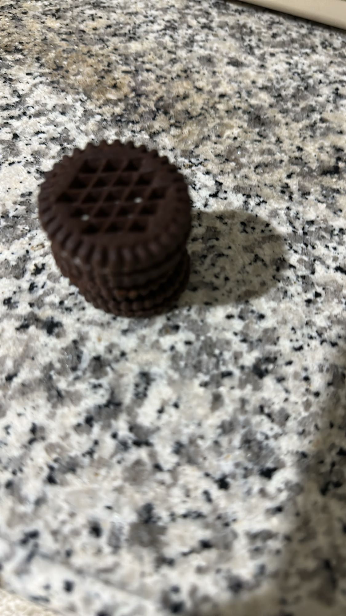 chocolate sandwich cookies