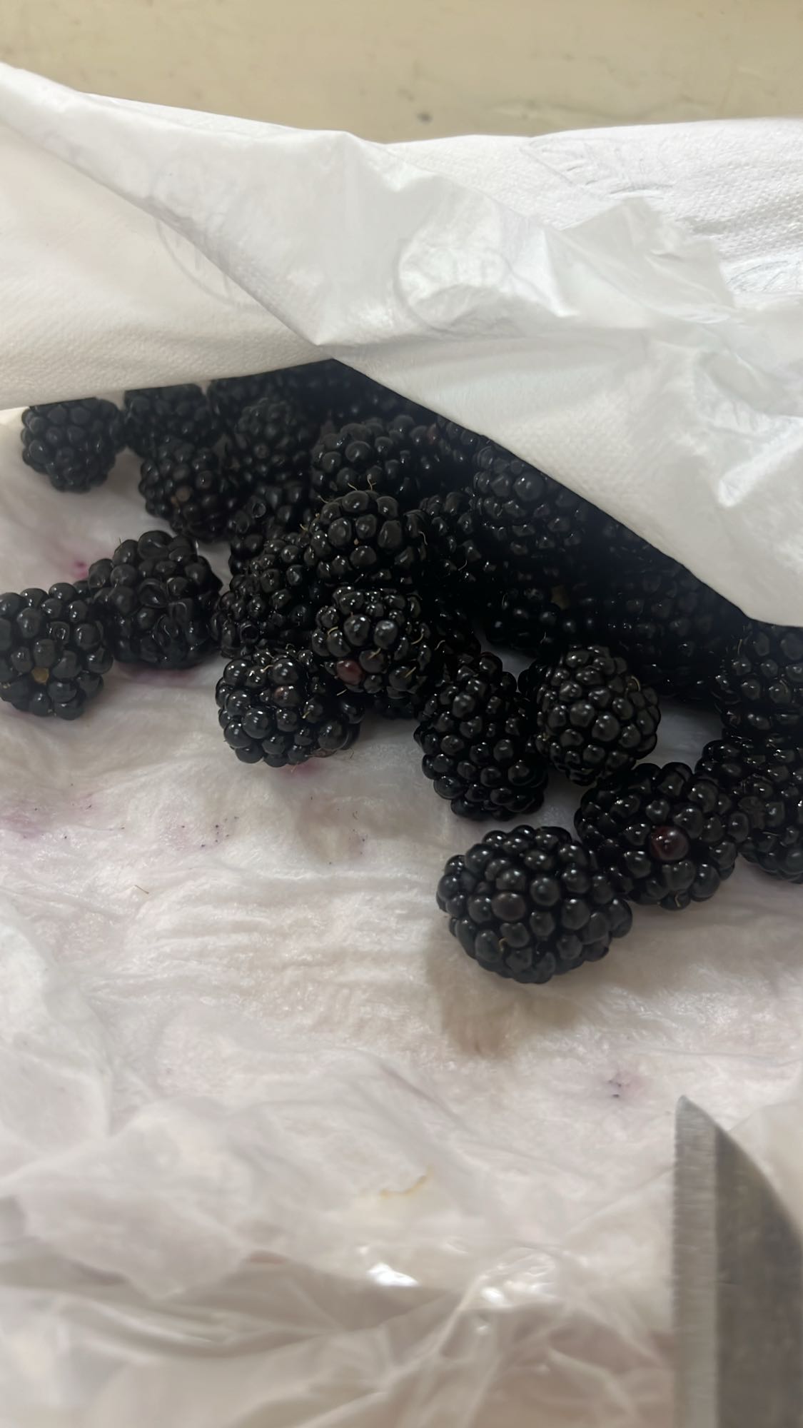 ежевика свежая