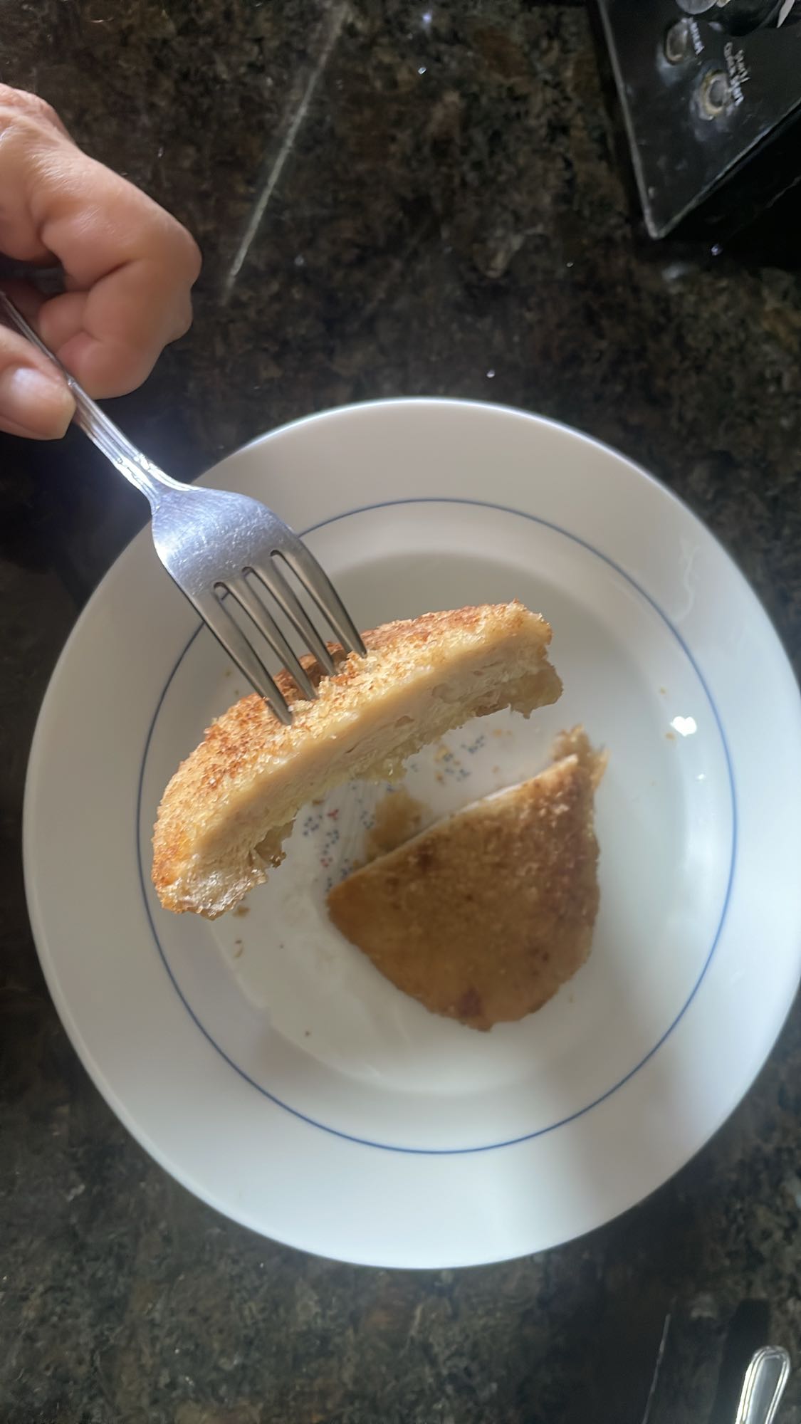 Breaded chicken cutlet