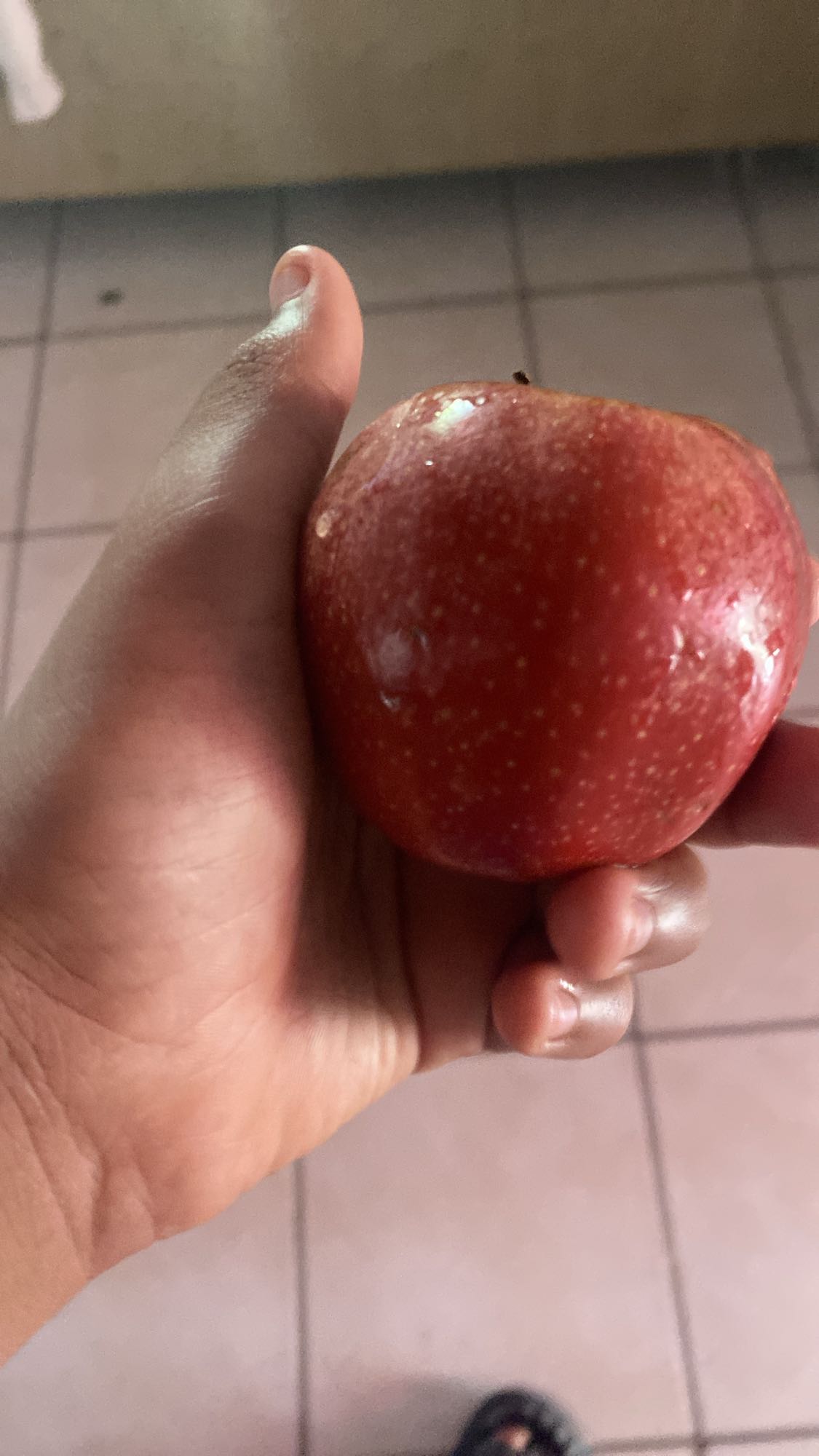 manzana roja