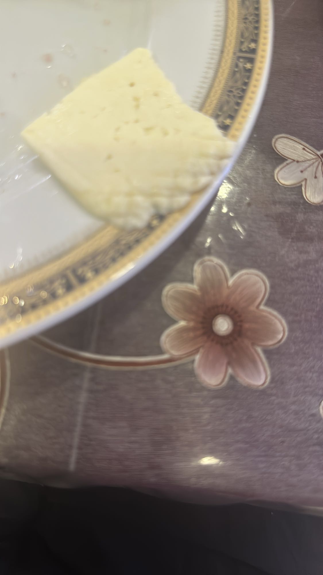 Slice of white cheese