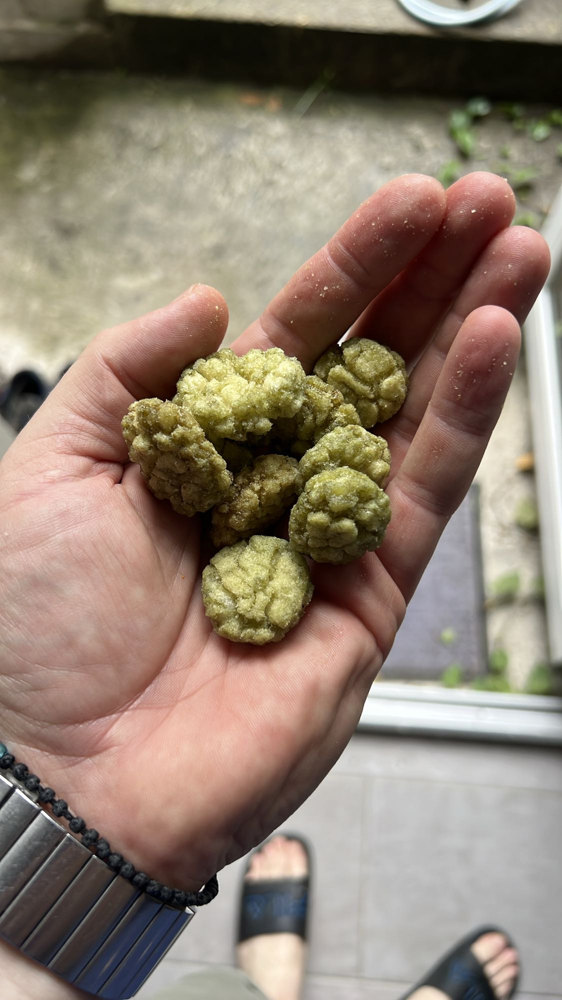 Biscuiți de orez cu ceai verde