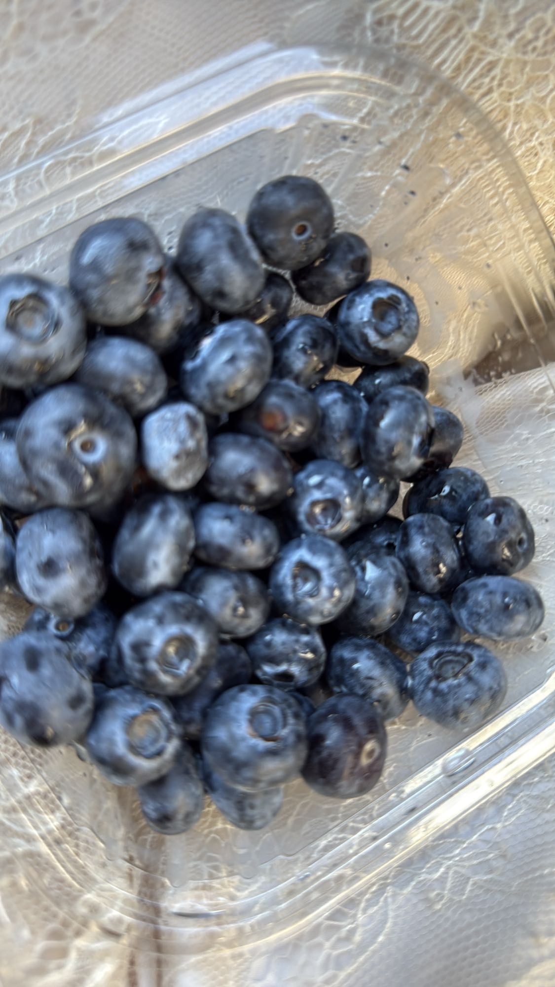 черника свежая