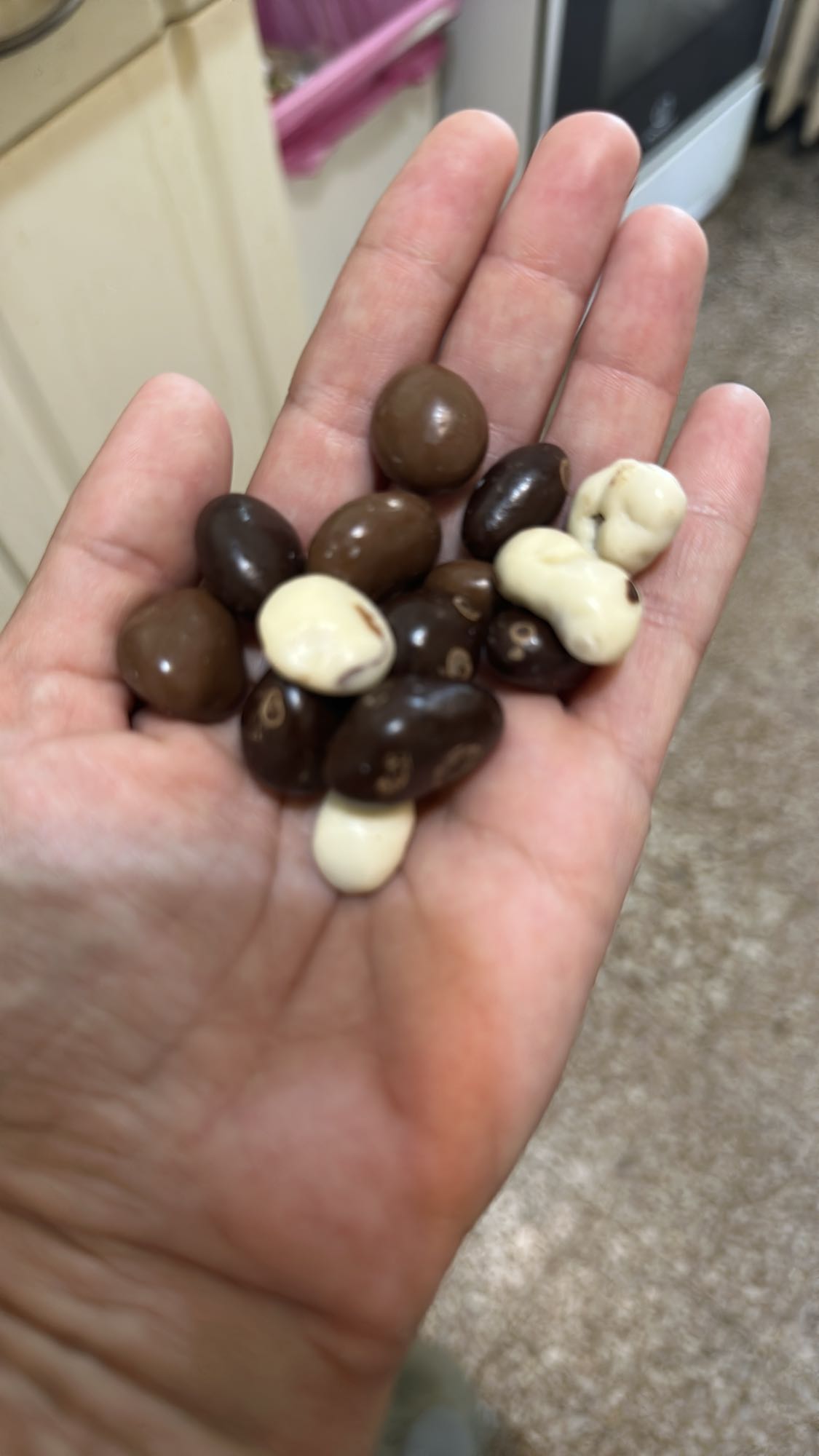 Chocolate Covered Nuts