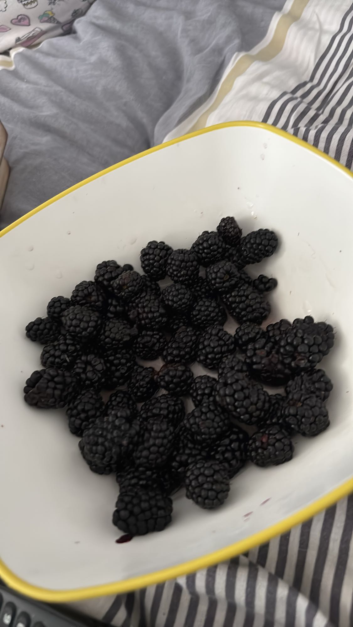 ежевика в миске