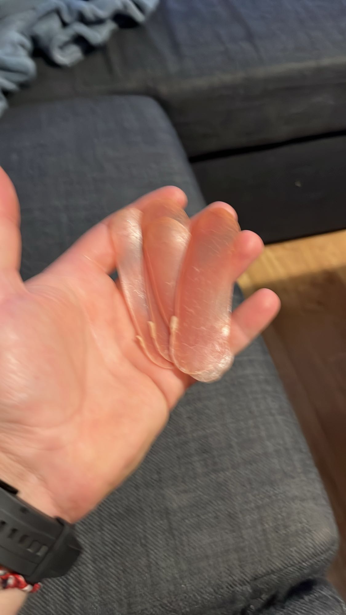 пилешка шунка