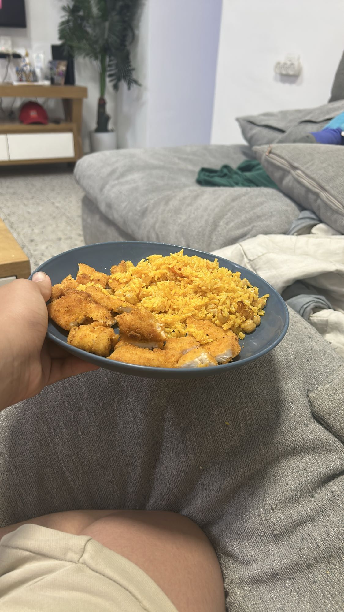 Breaded Chicken & Rice