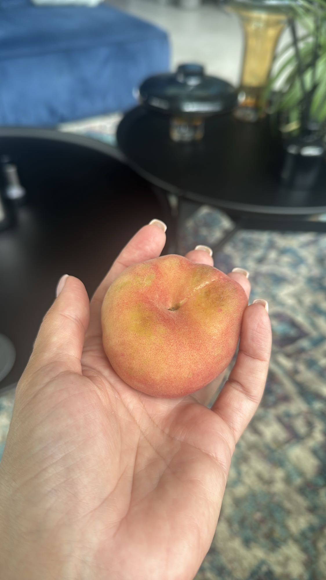 Brzoskwinia talerzowa