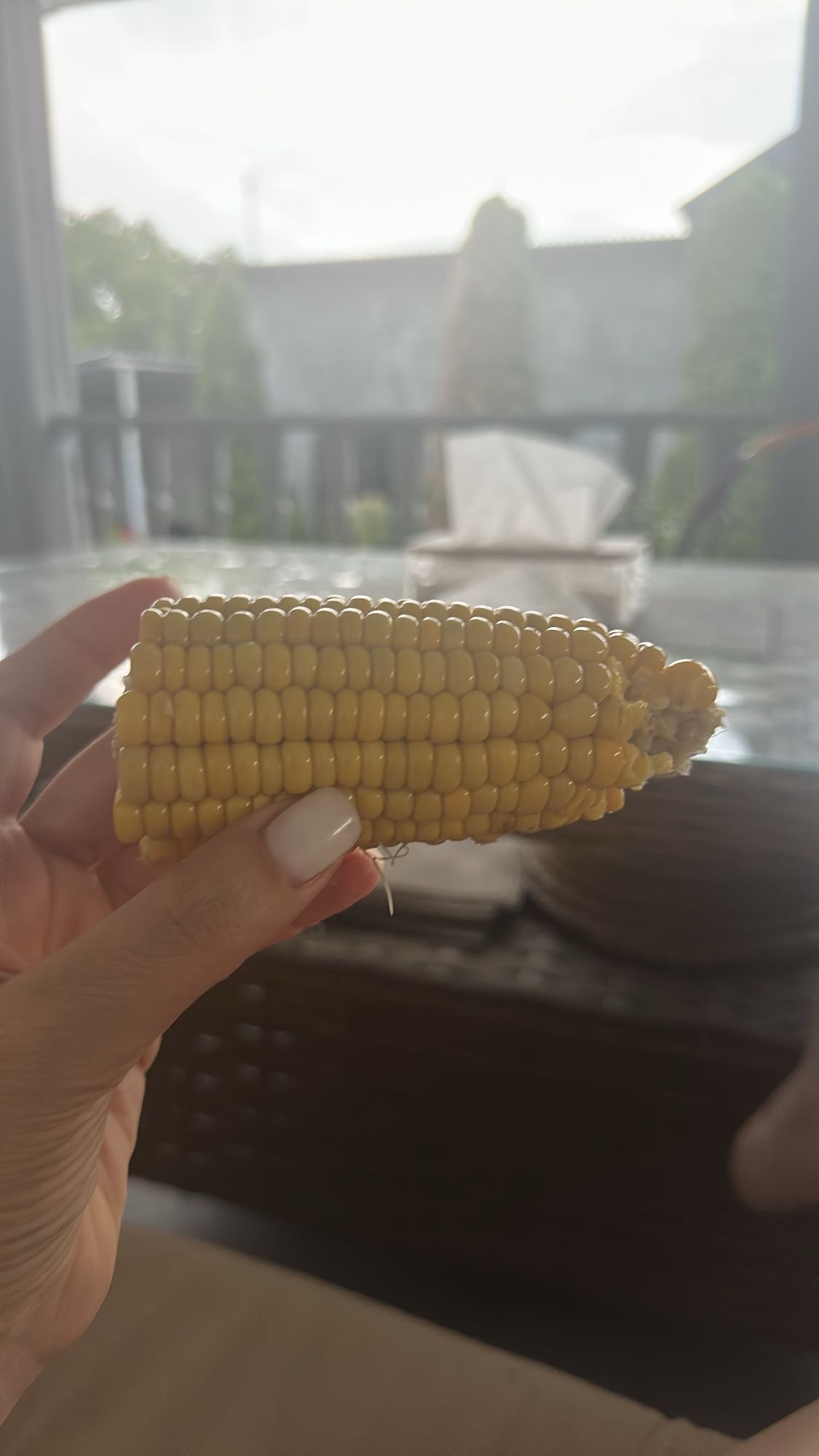 Boiled Corn on the Cob
