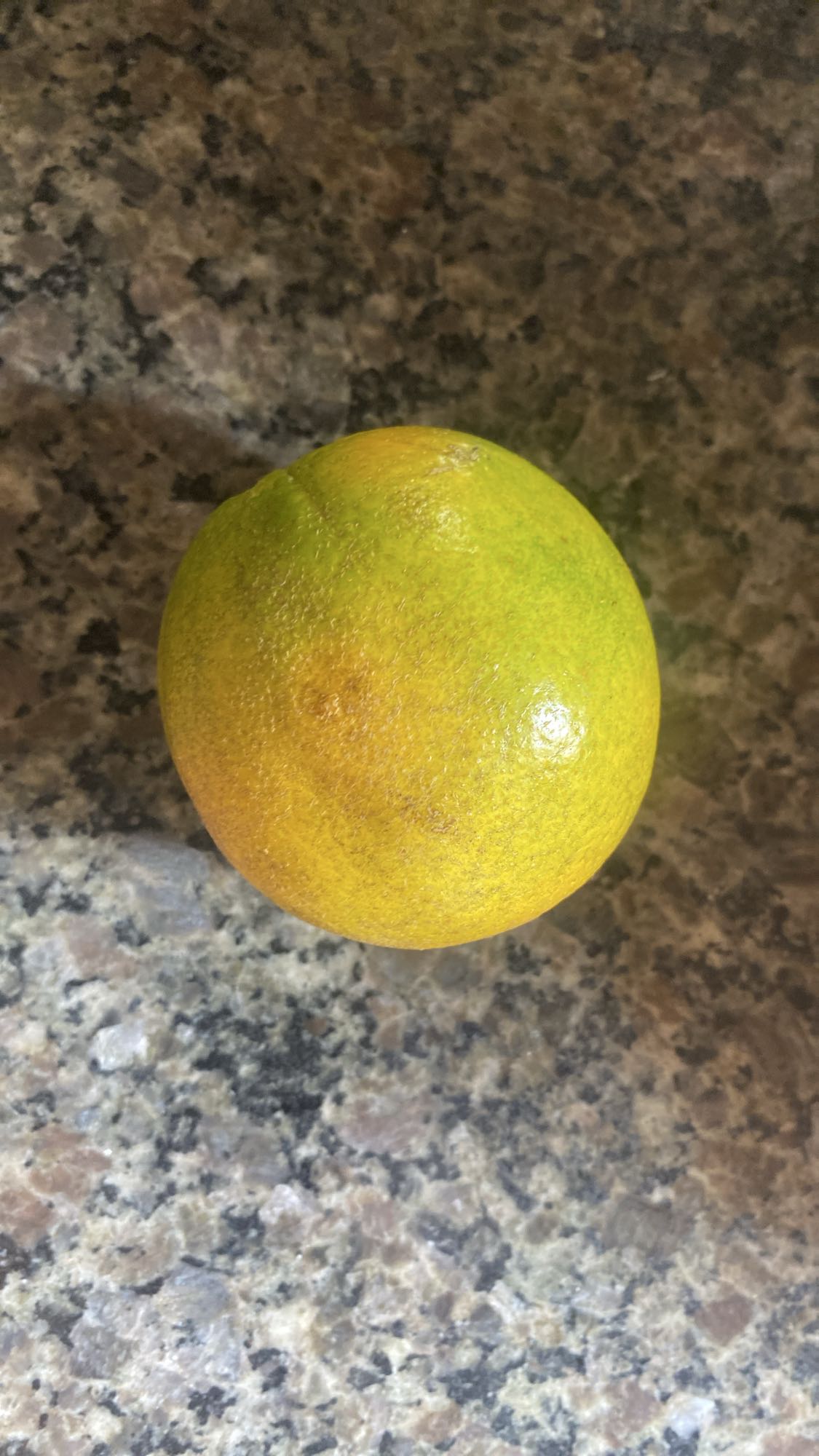 Laranja inteira