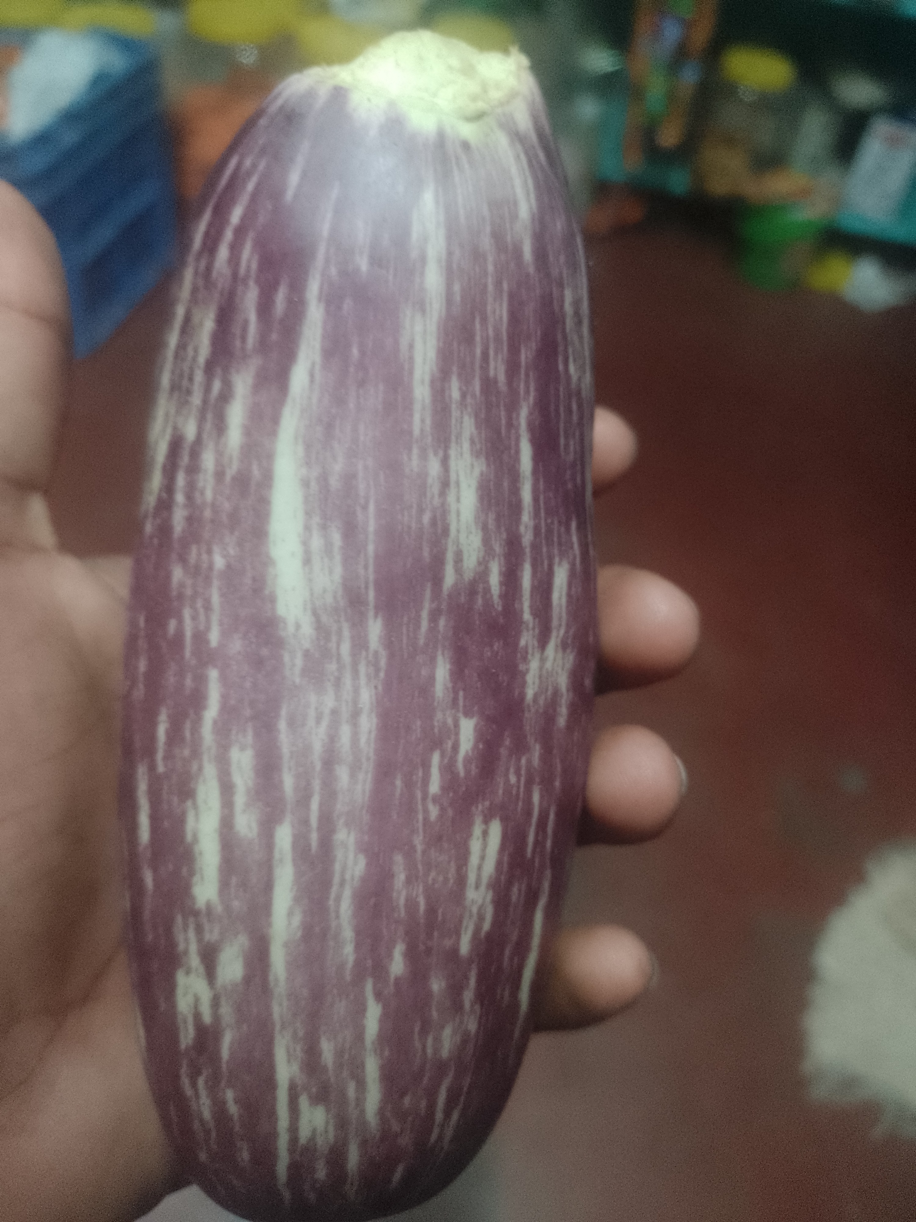 Raw Eggplant