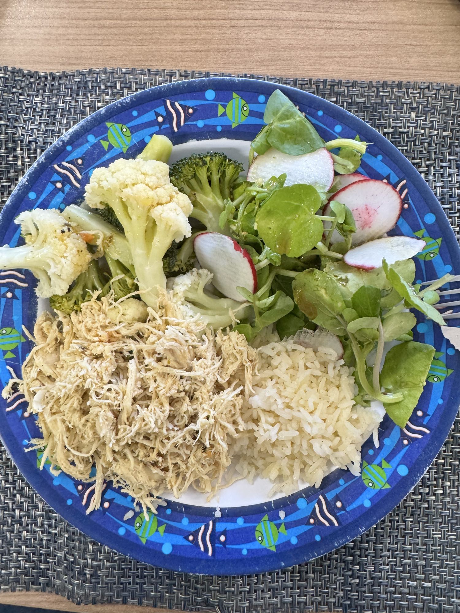 Frango desfiado com arroz e salada