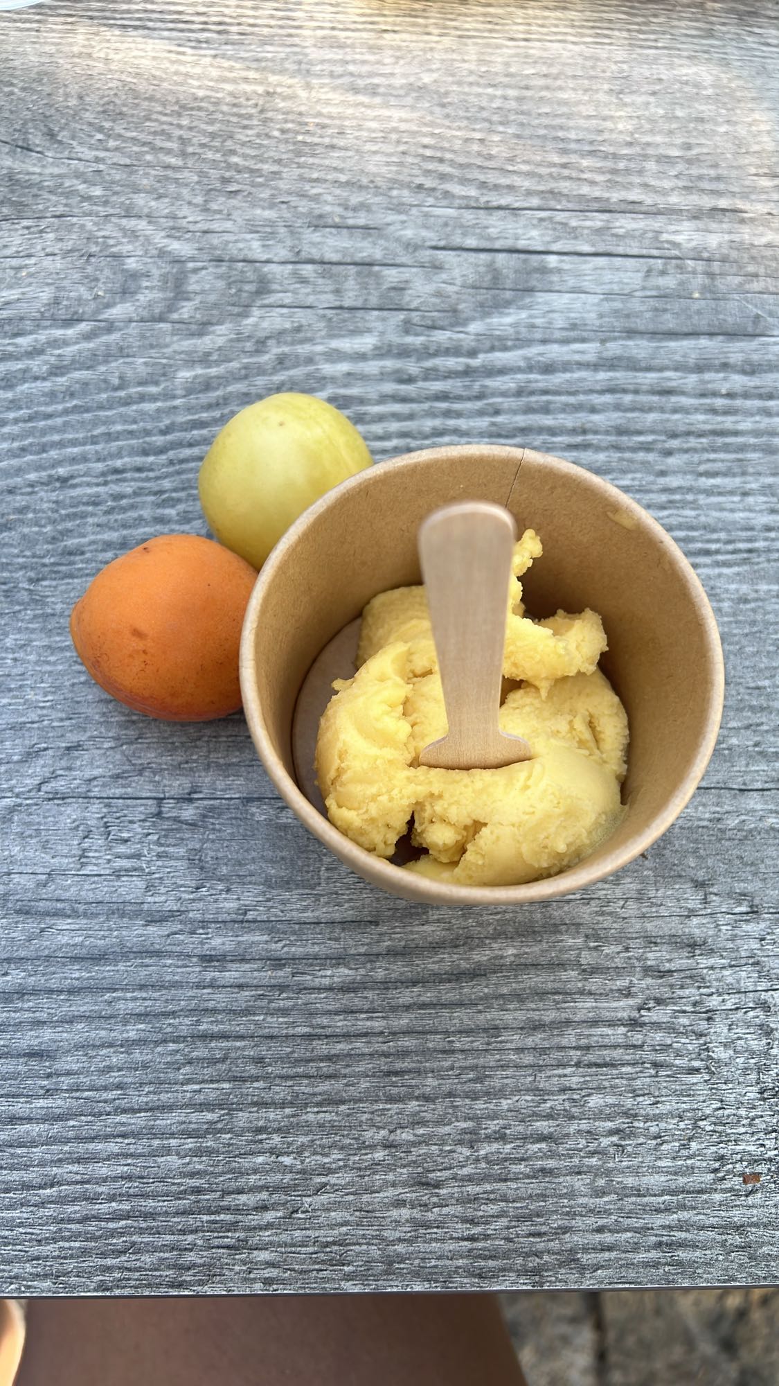 mango sorbet met fruit