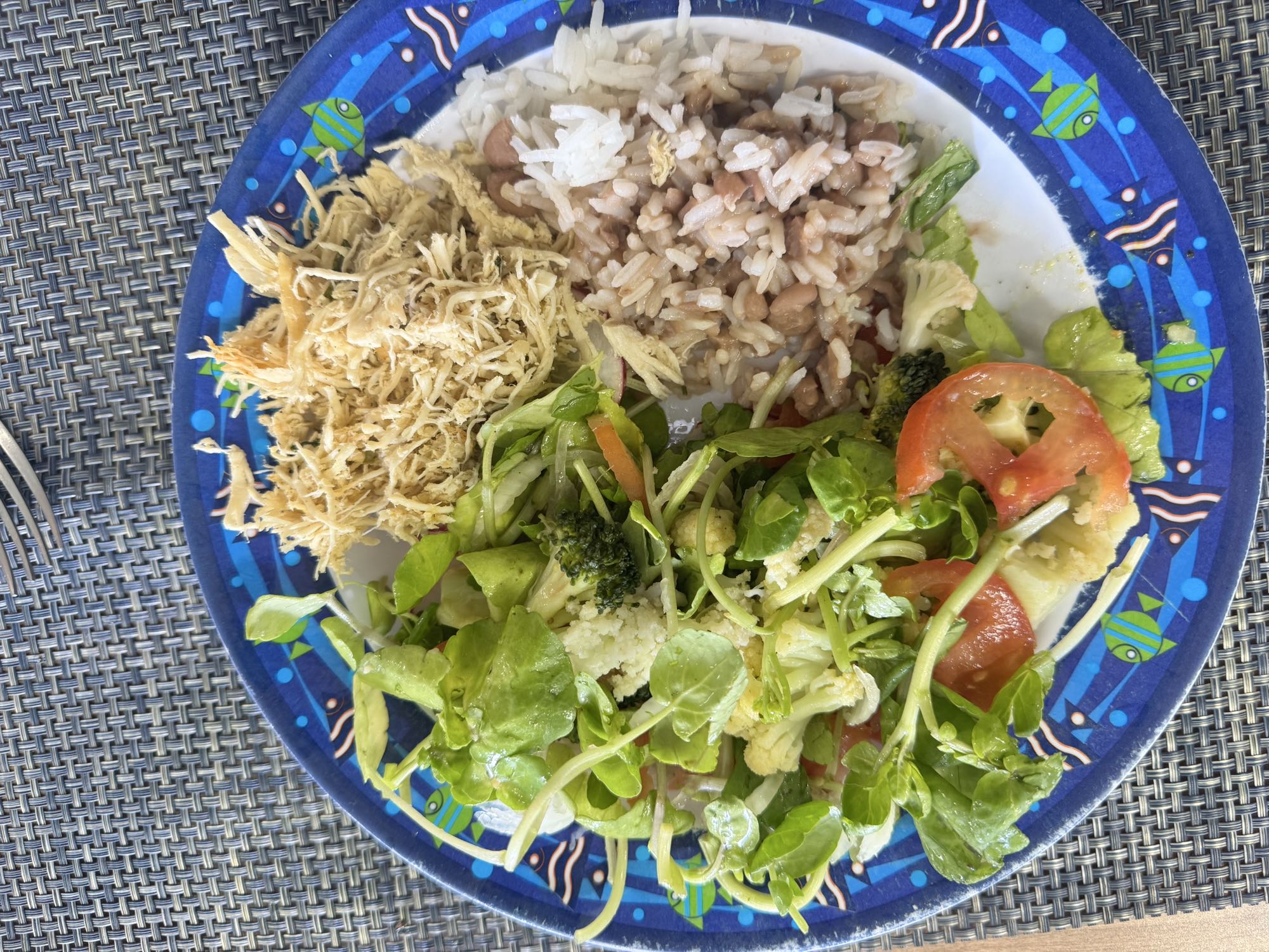 Frango com arroz e salada