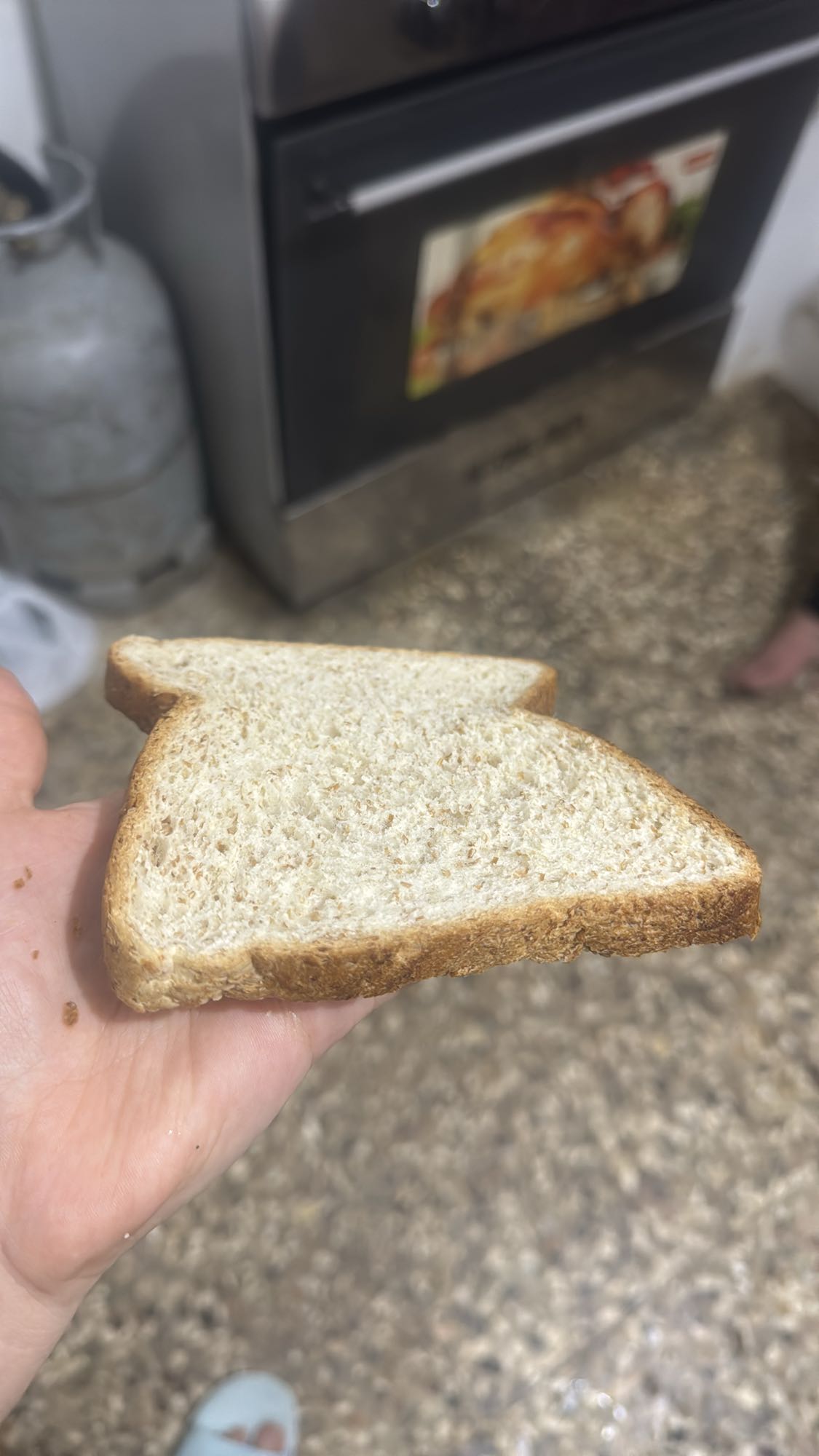 شريحة خبز قمح