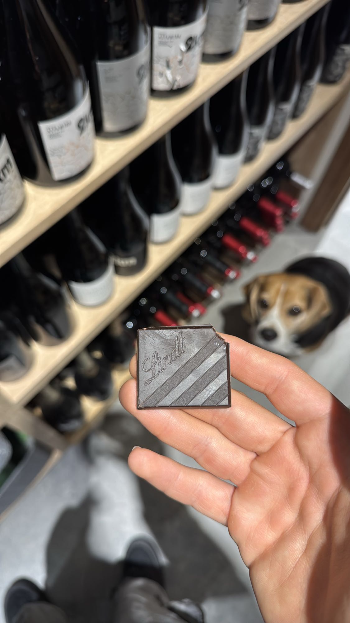 Chocolate oscuro Lindt