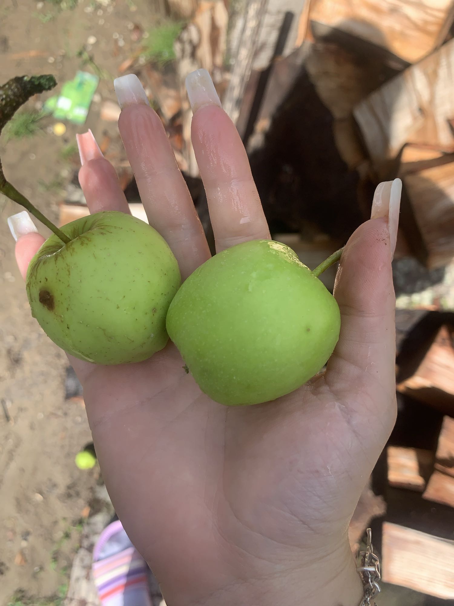 Mere verzi proaspete