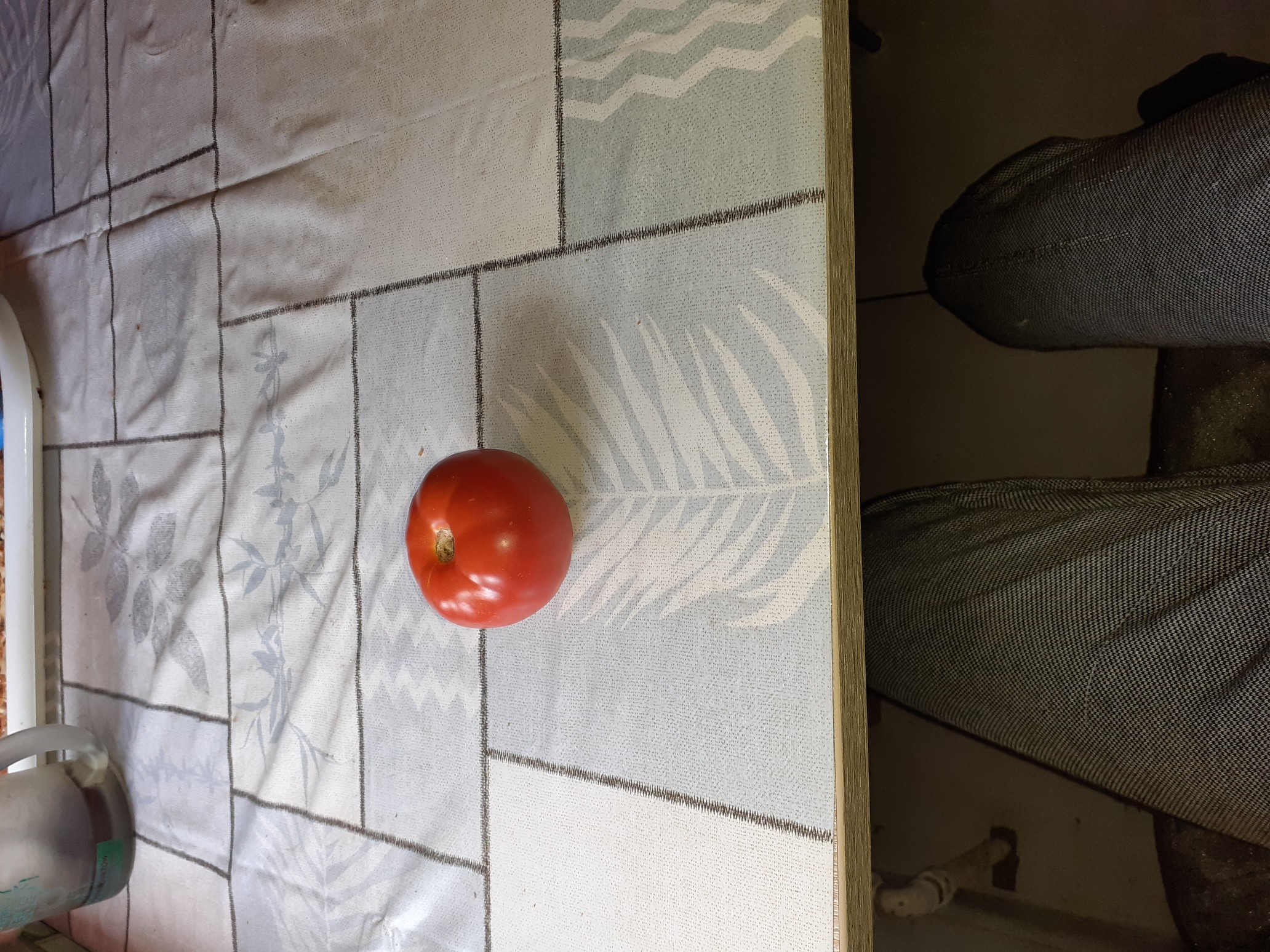 Single Tomato