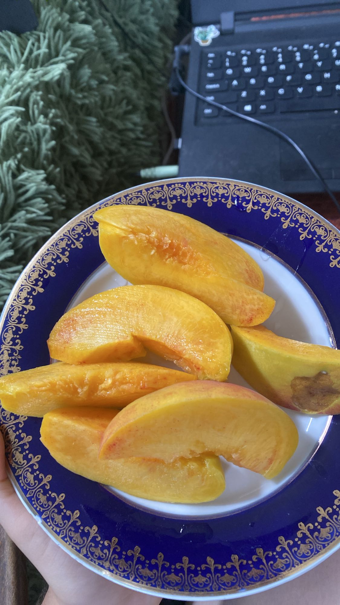 Fresh peach slices