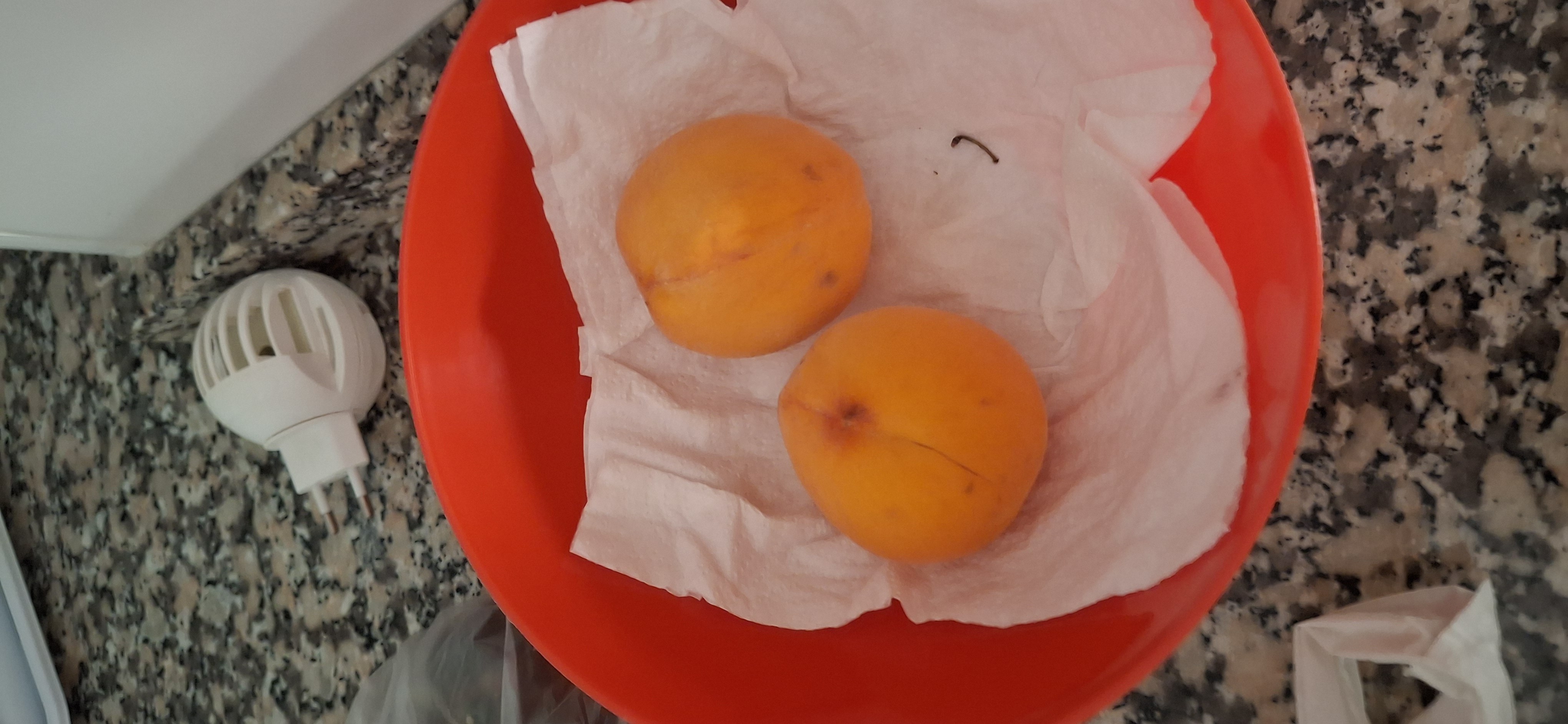 albaricoques frescos