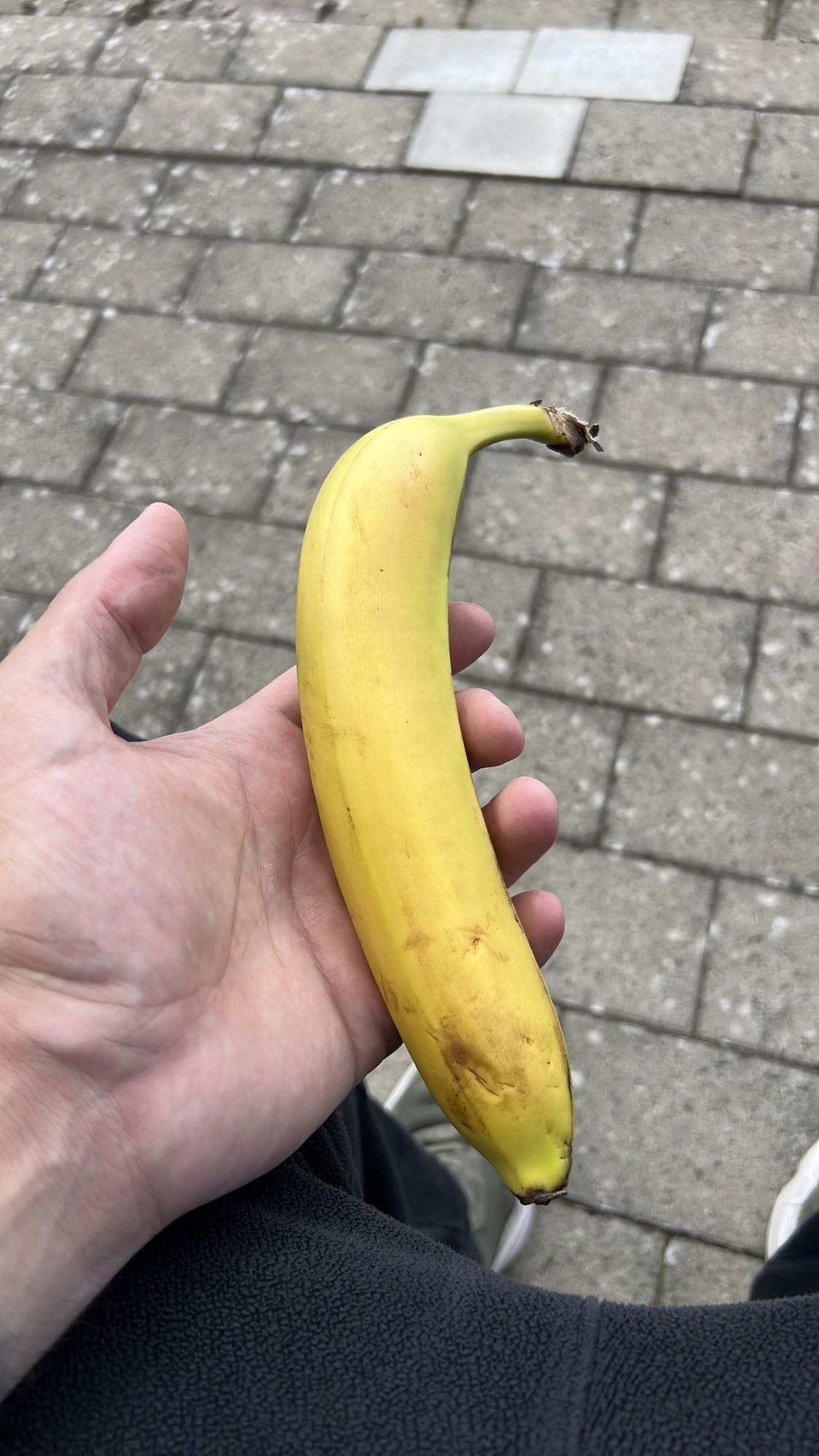 Banan