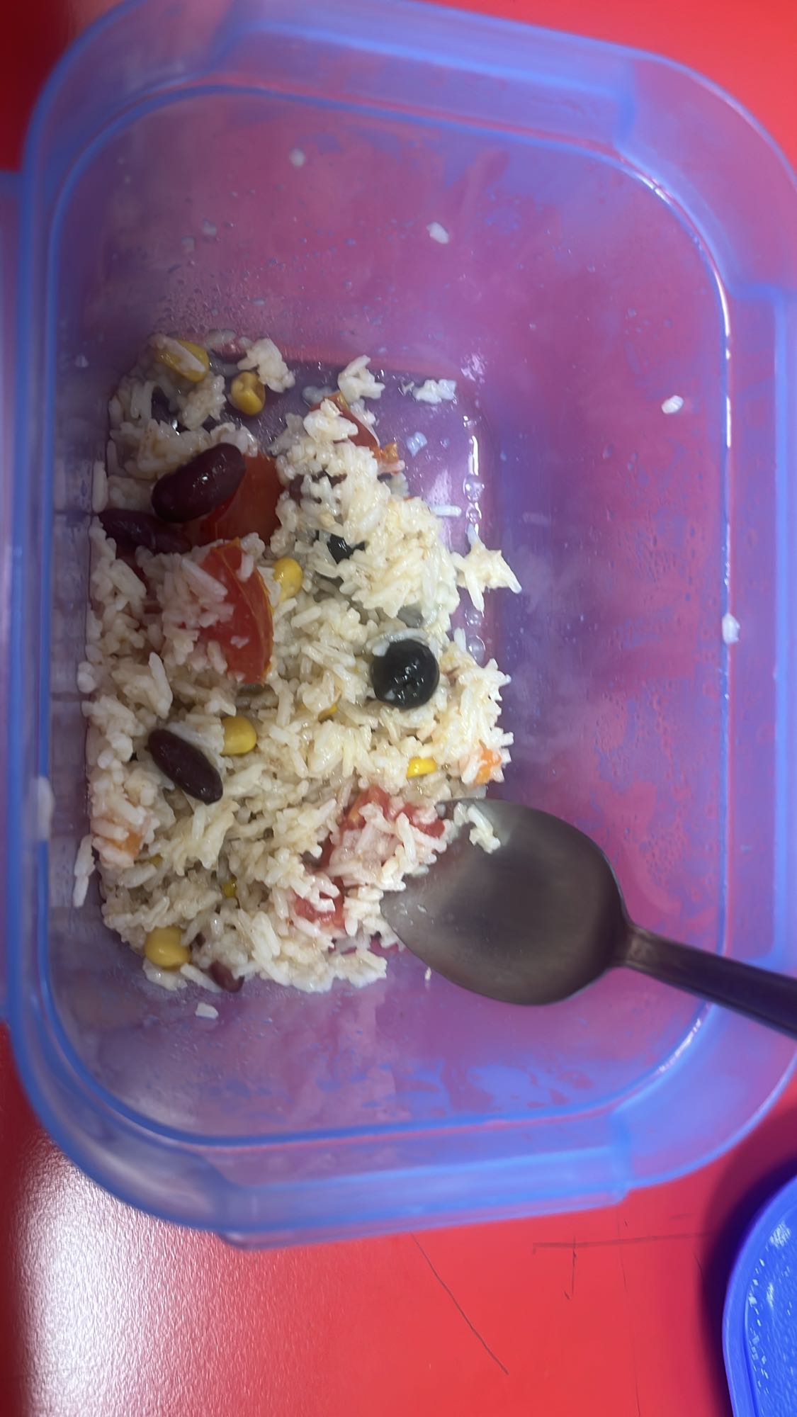 Rice Bean Veggie Mix