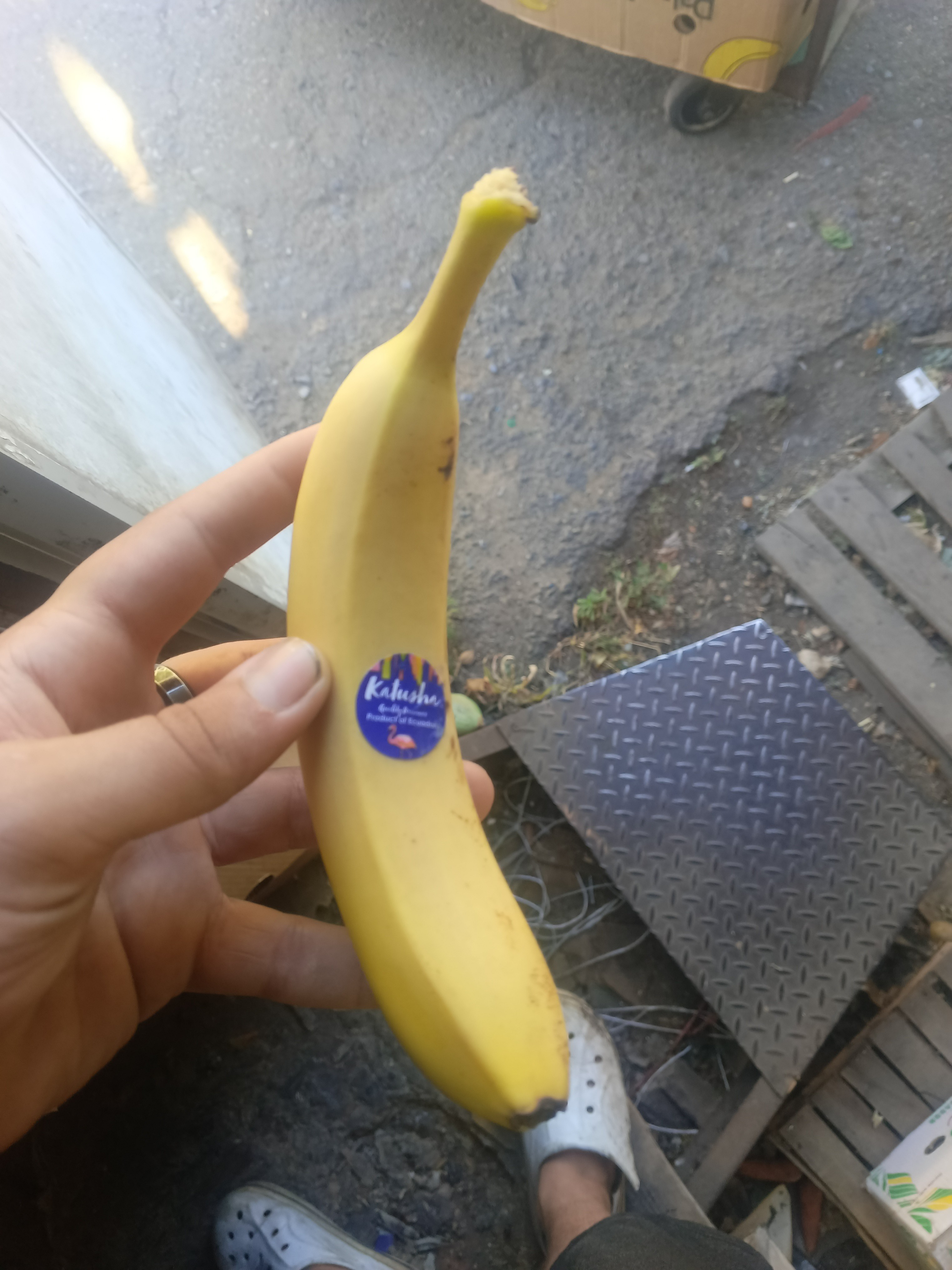 Single Banana
