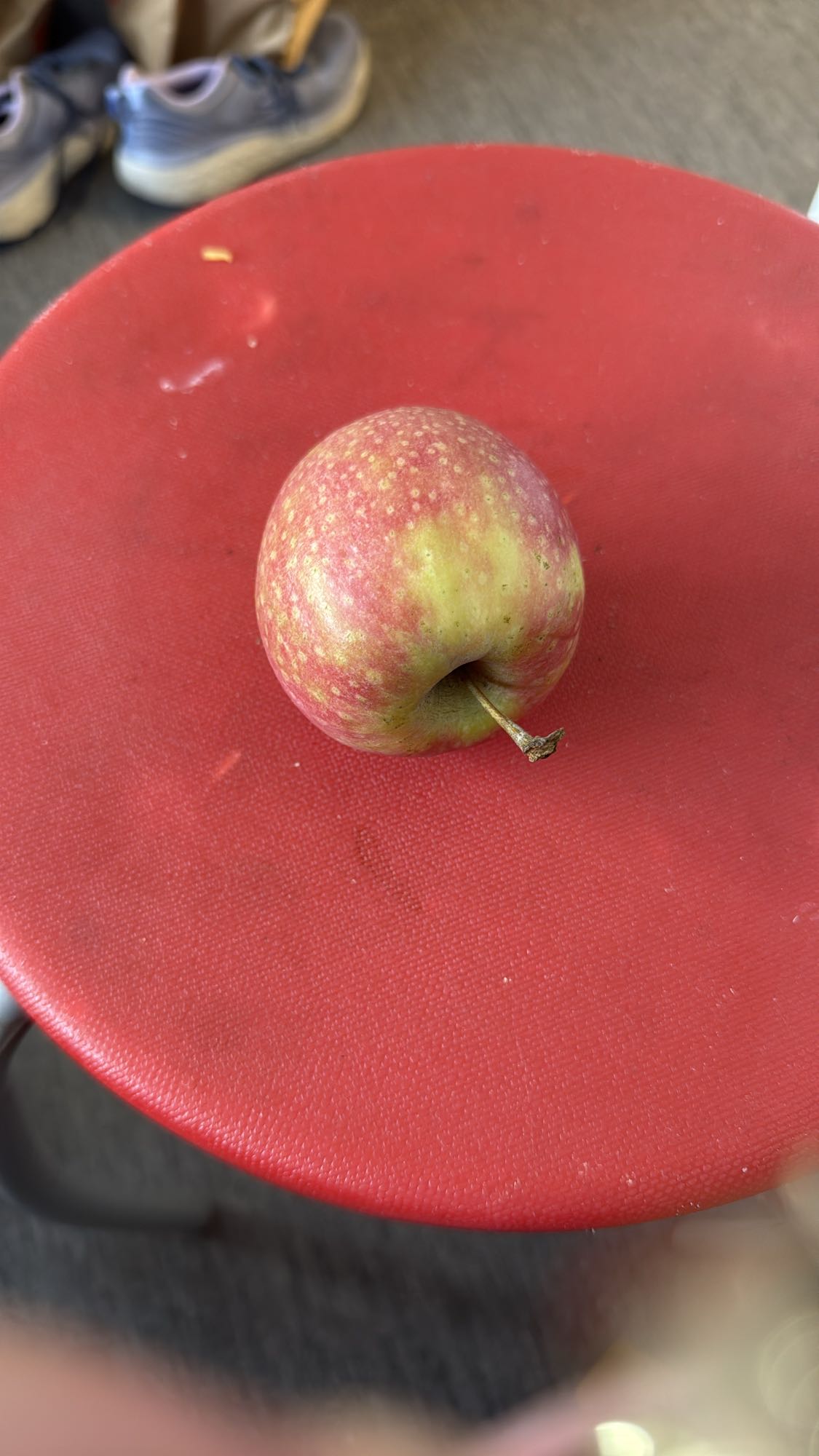 Äpple
