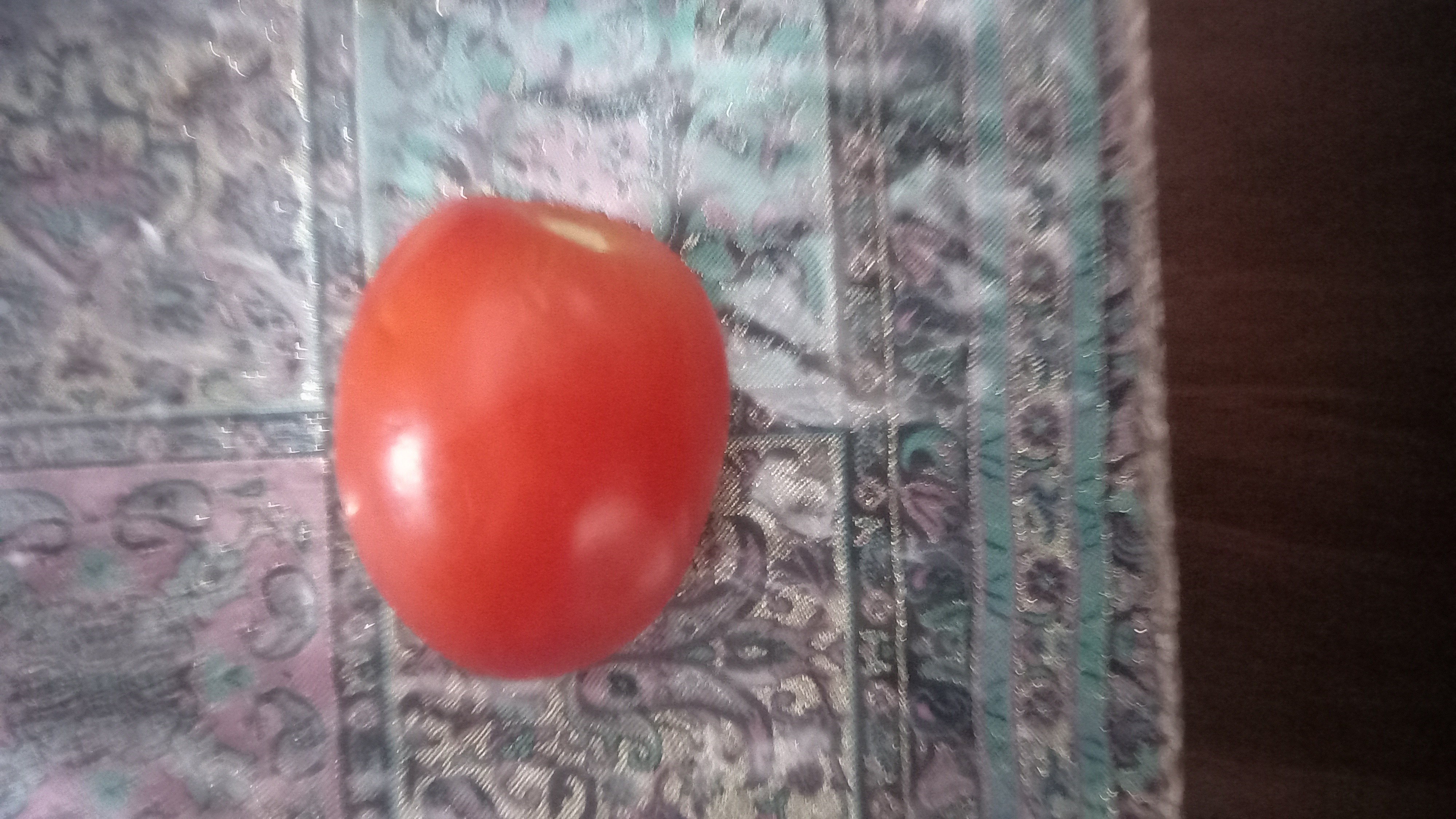 Fresh Tomato